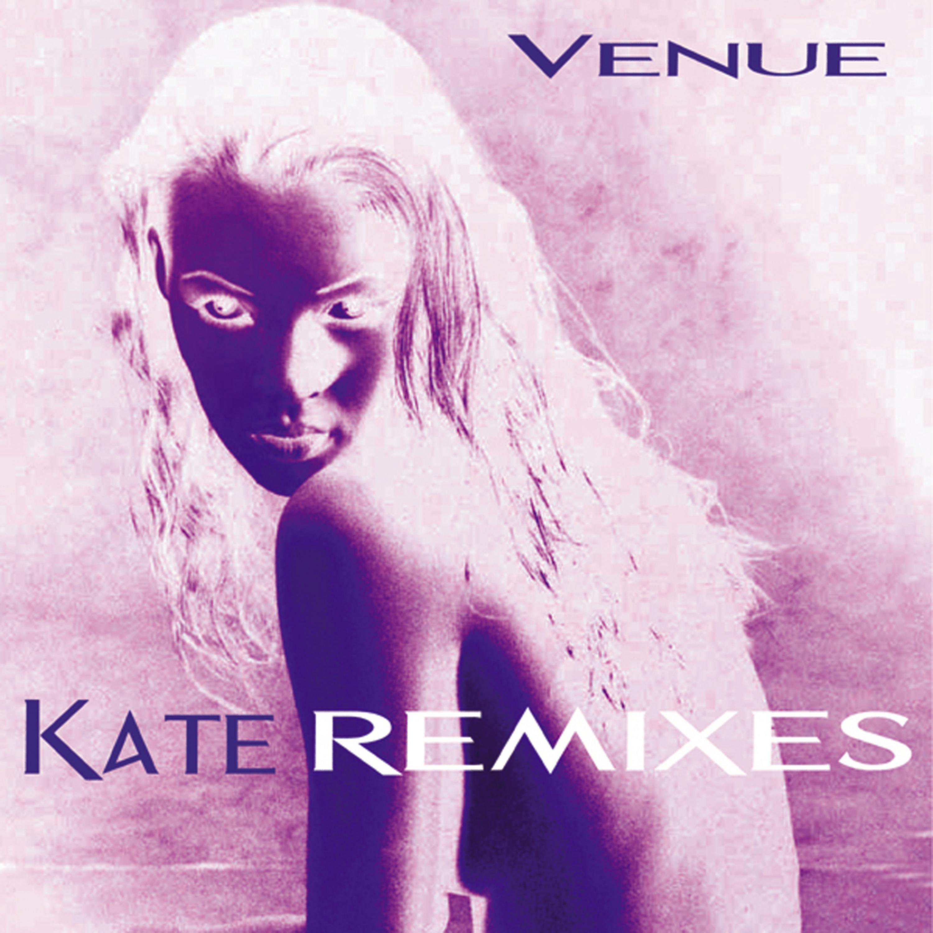 Постер альбома Kate Remixes