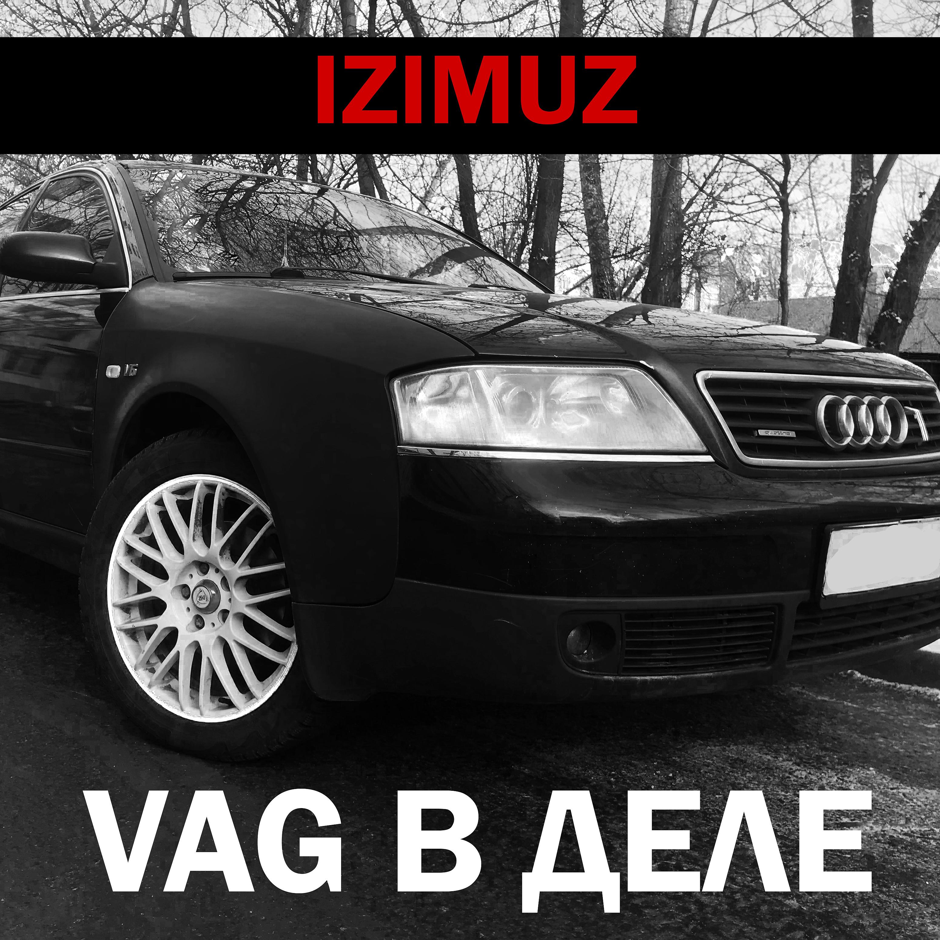 Постер альбома Vag в деле