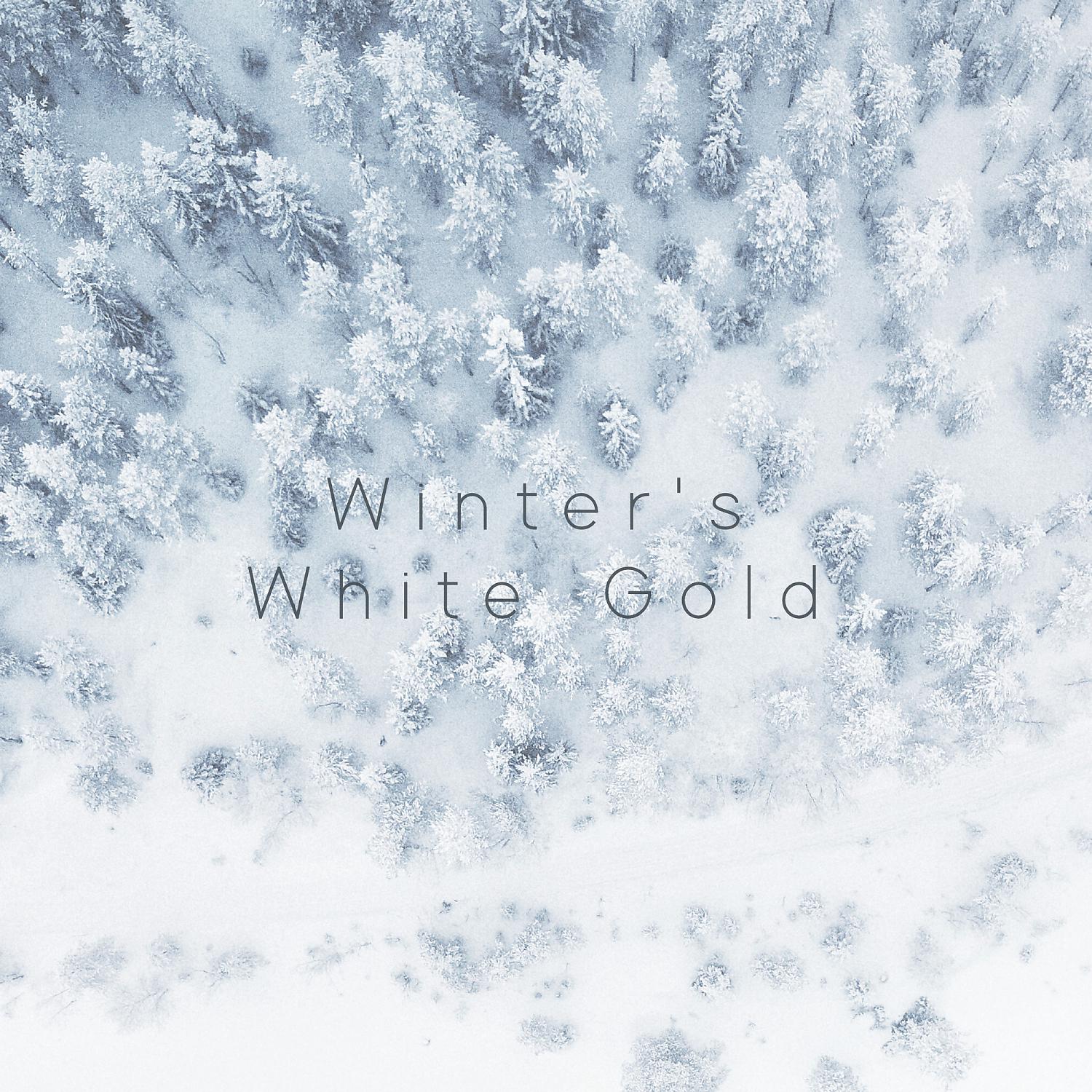 Постер альбома Winter's White Gold