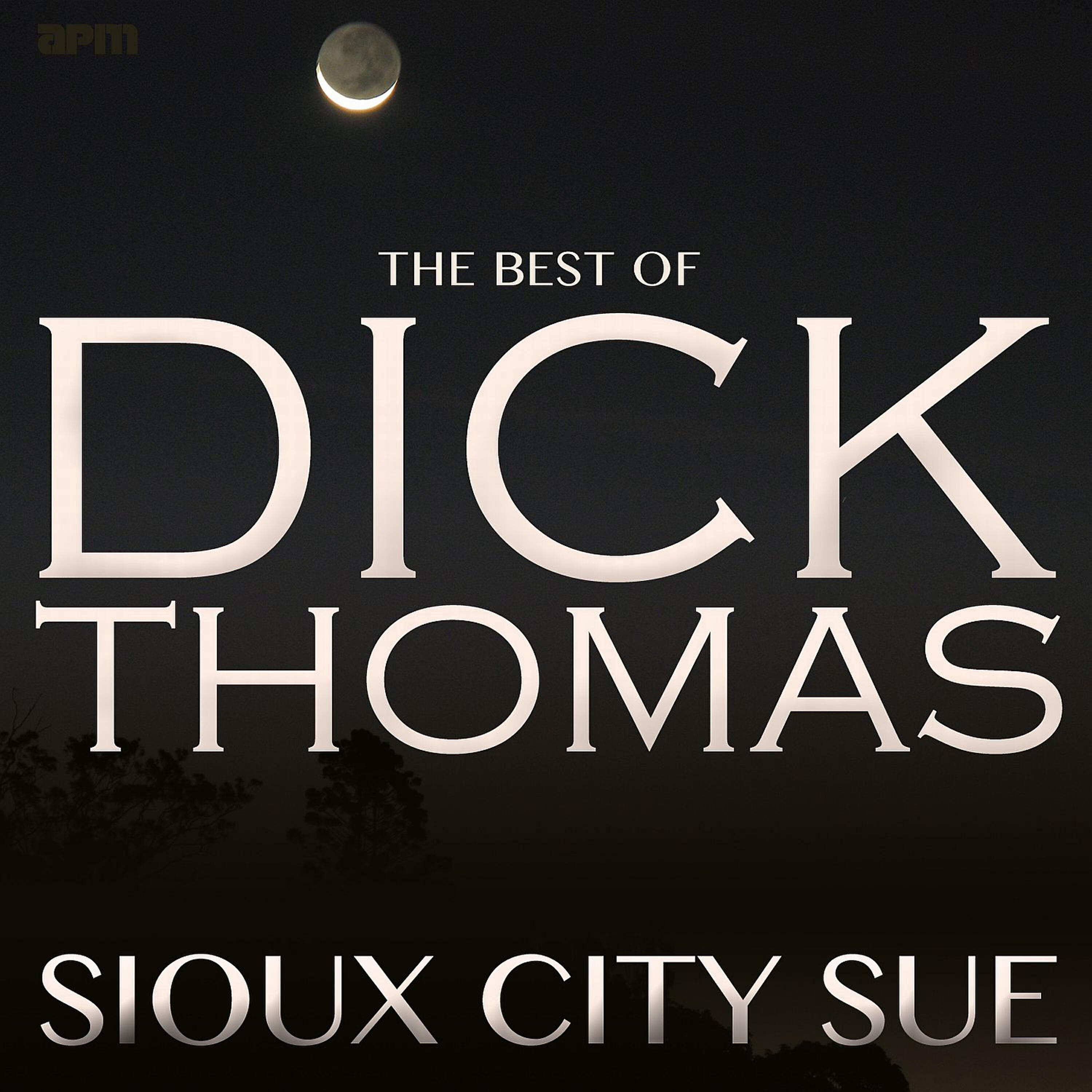 Dick Thomas - A Broken Down Merry Go Round