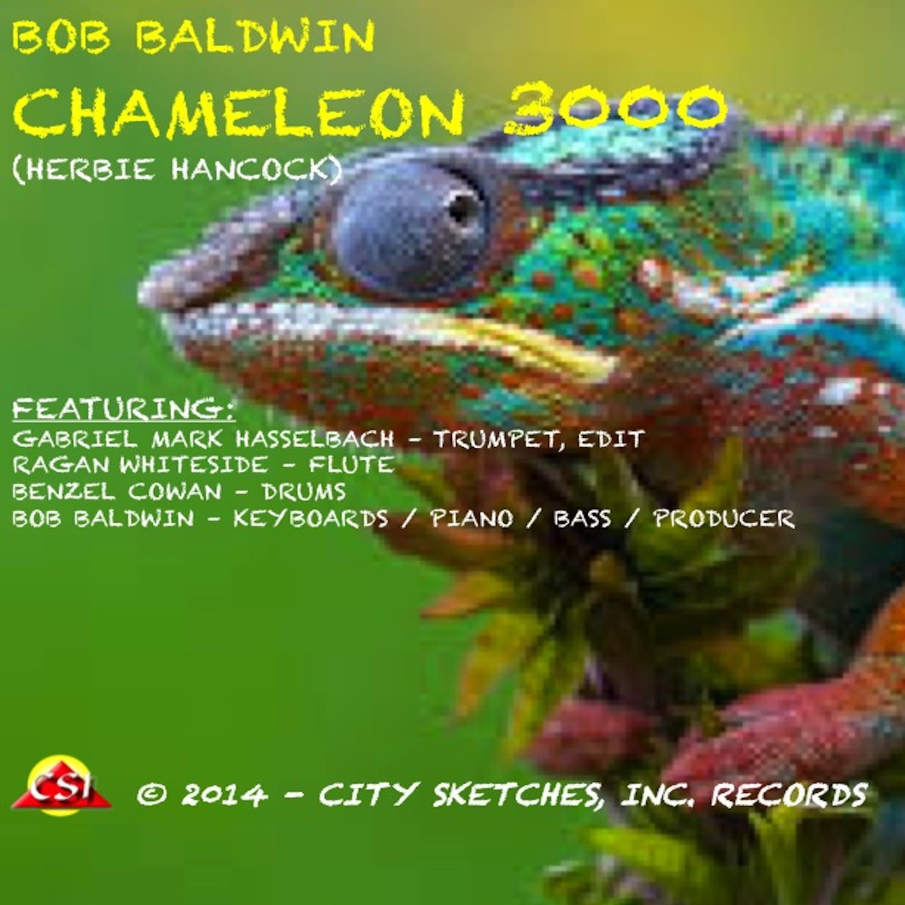 Постер альбома Chameleon 3000