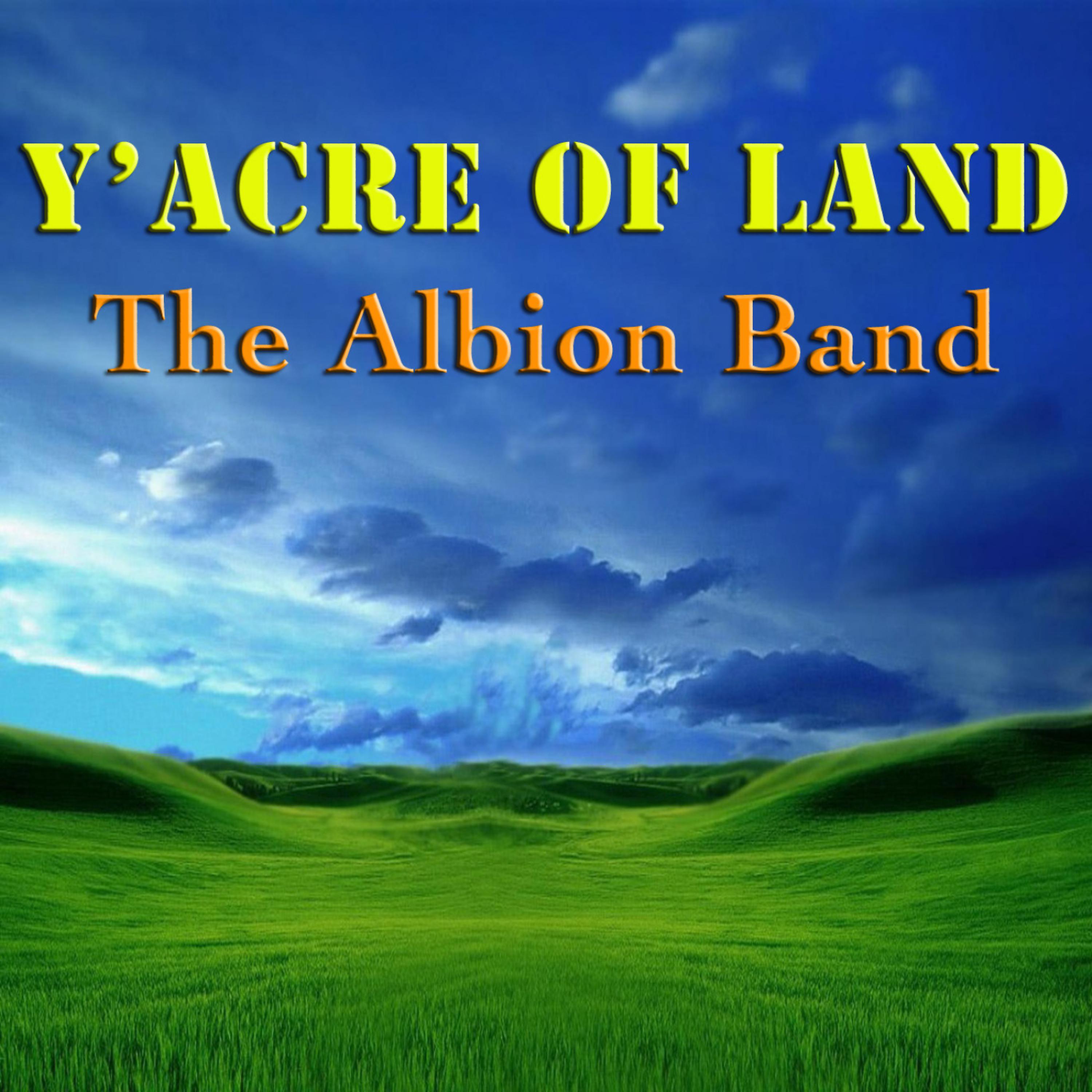 Постер альбома Y'acre of Land