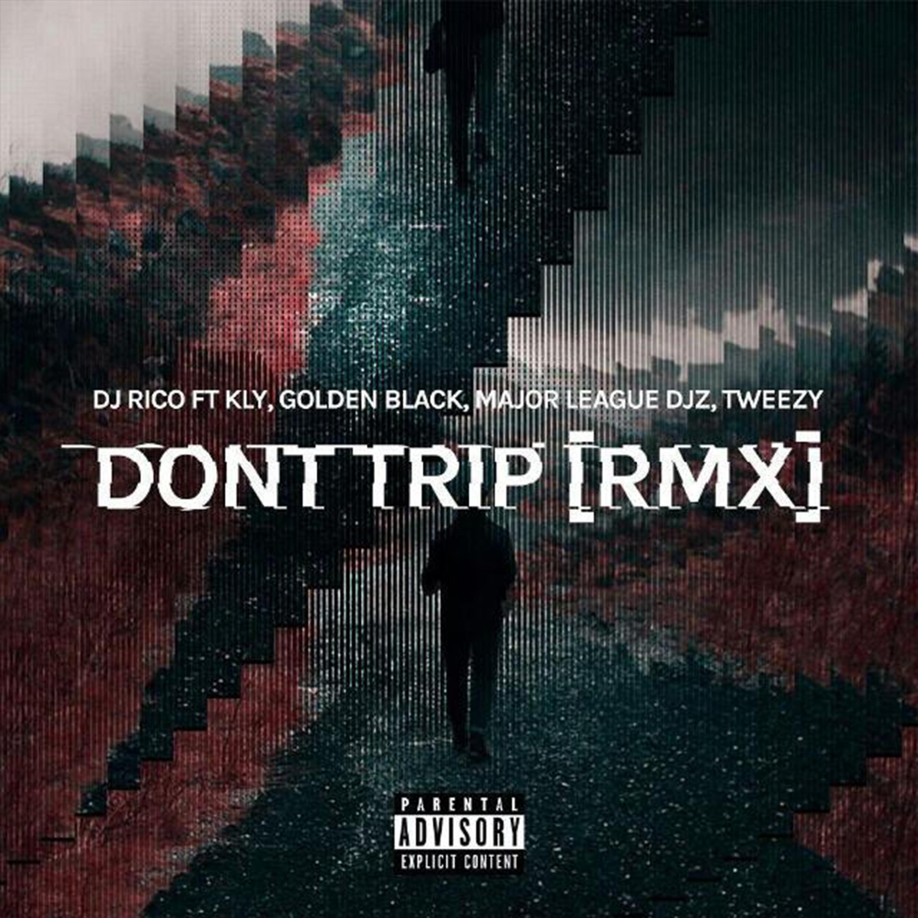Постер альбома Don't Trip (Remix)