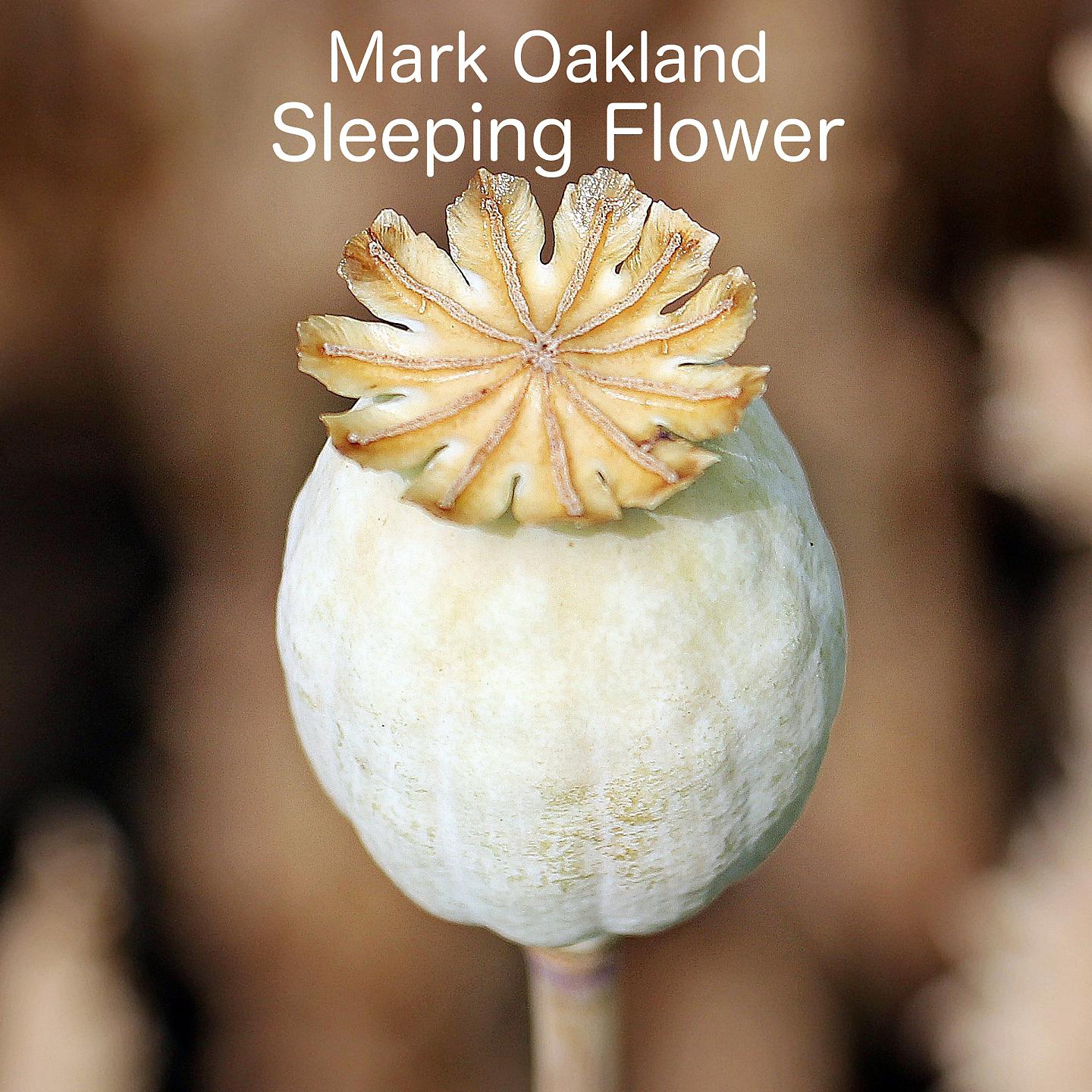 Постер альбома Sleeping Flower