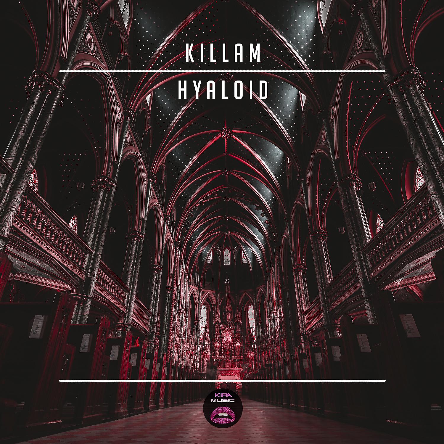 Постер альбома Hyaloid
