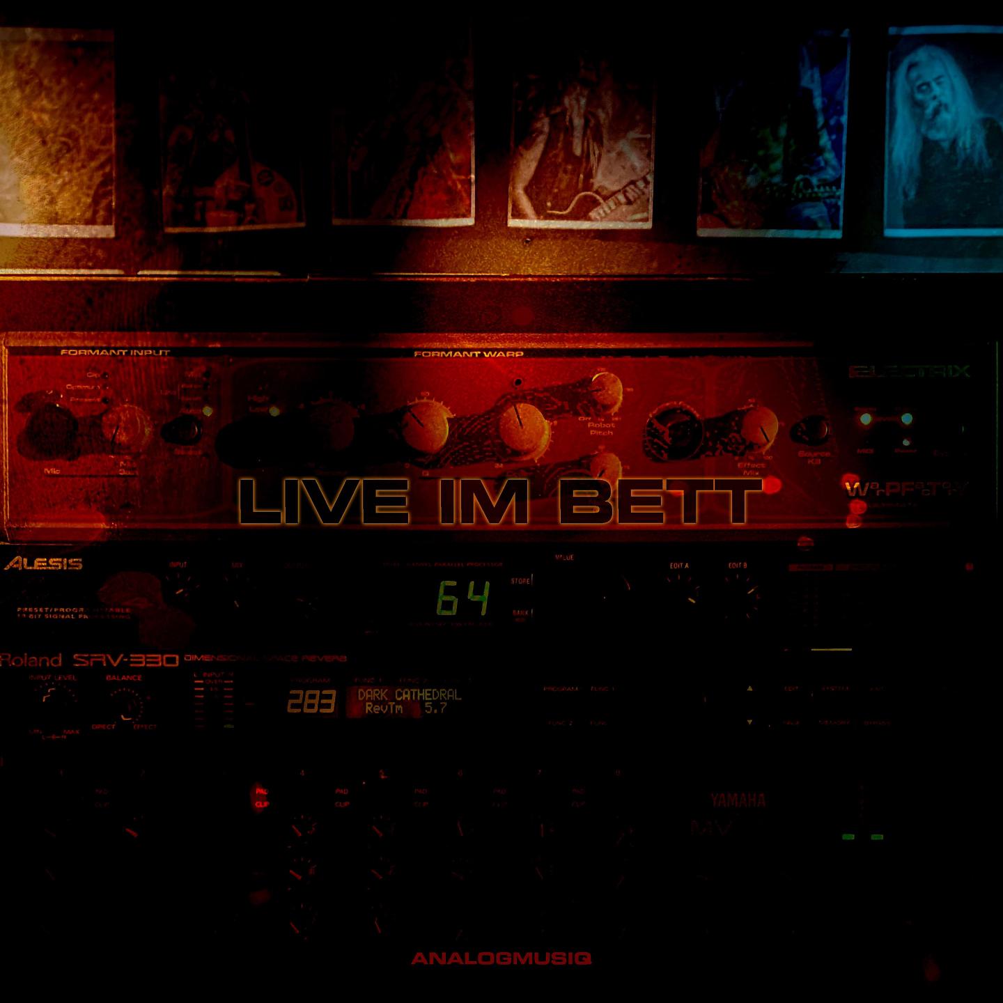 Постер альбома Live im Bett