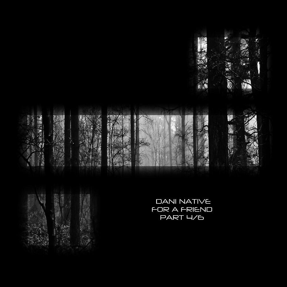 Dani Native - For a Friend V
