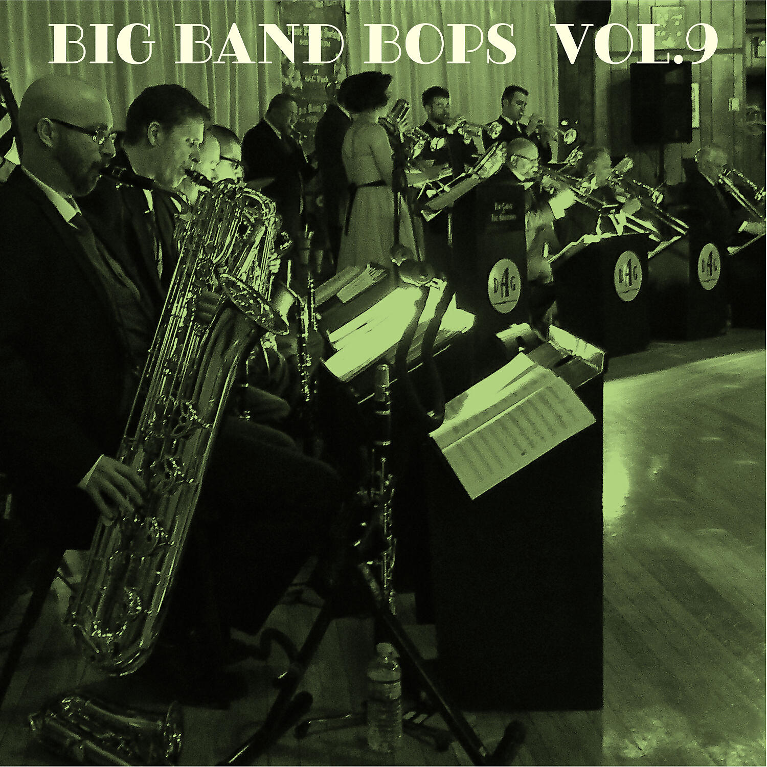 Alan Gardiner Accordion Band - Tenderly He Watches
