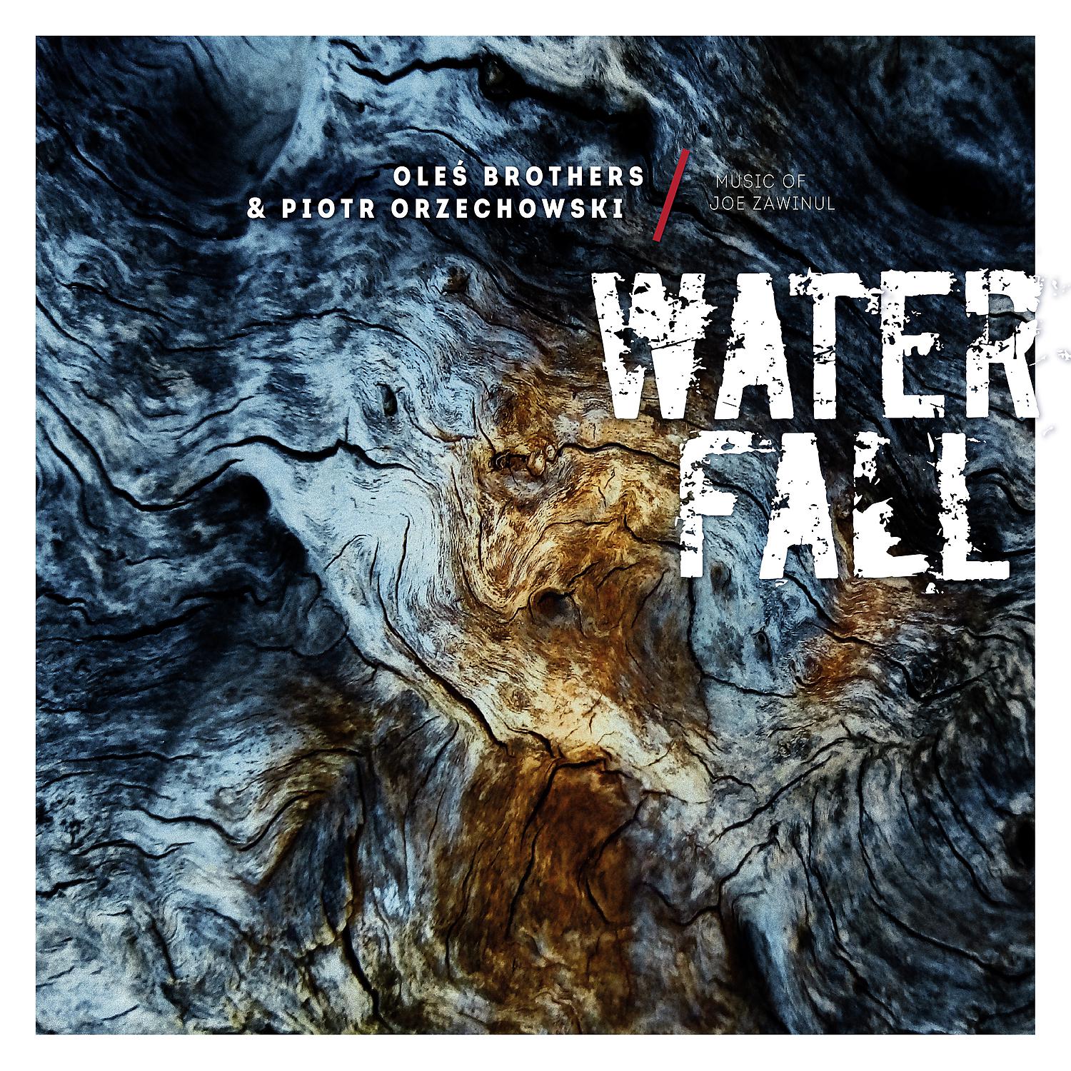 Постер альбома Waterfall: Music of Joe Zawinul