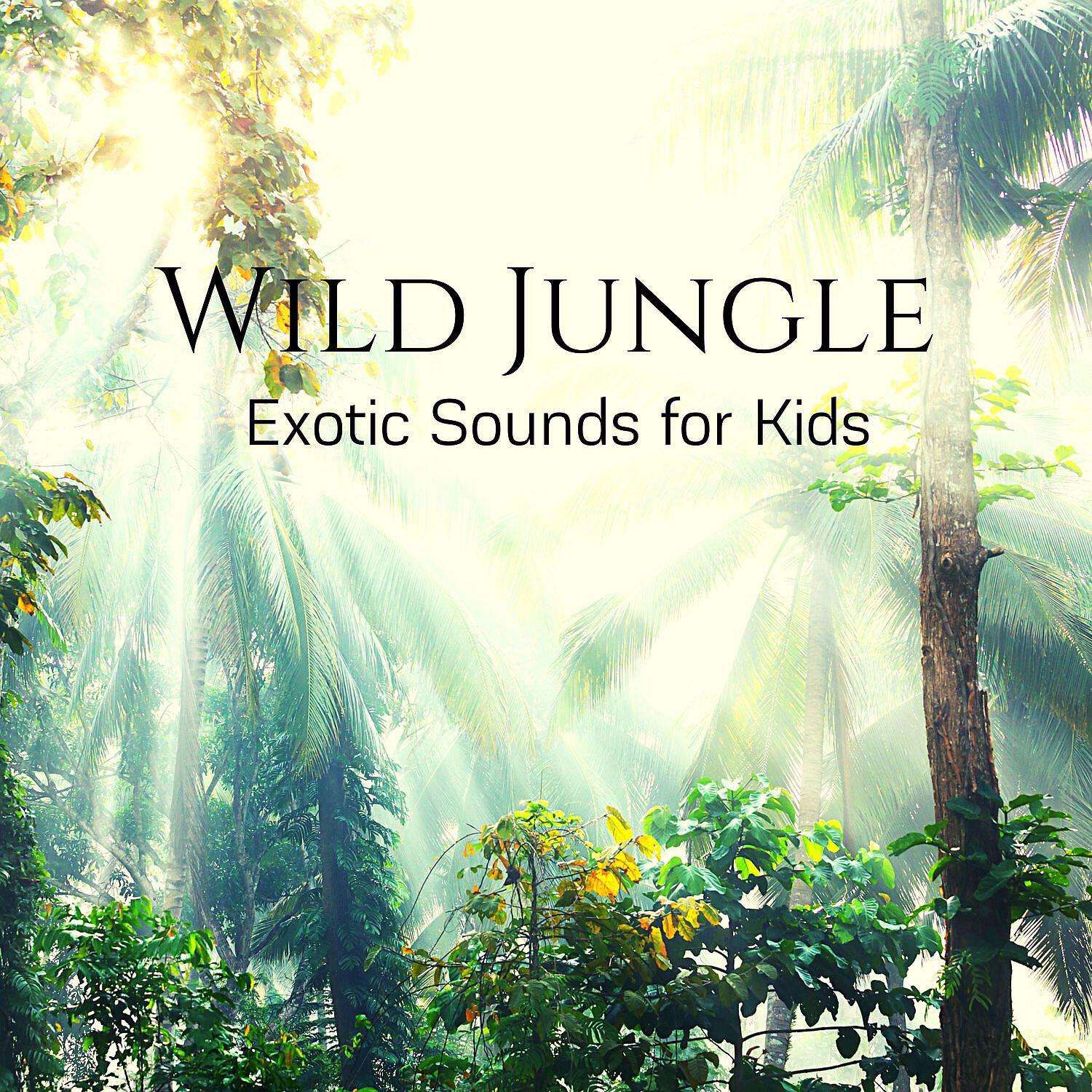 New Age Anti Stress Universe - Exotic Birds