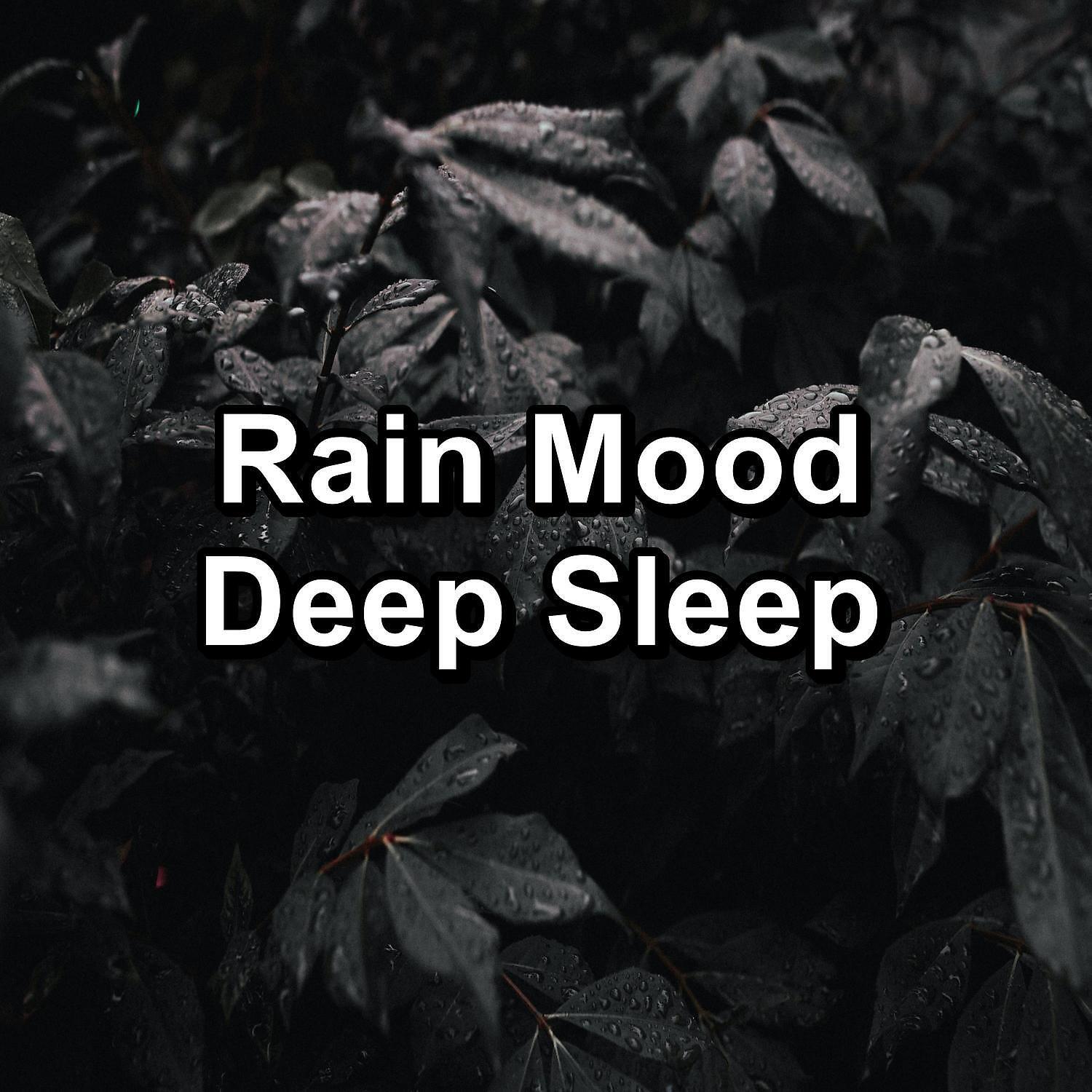 Deep Sleep Music Experience - Cozy Rain To Help with Insomnia To Repeat for 10 Hours