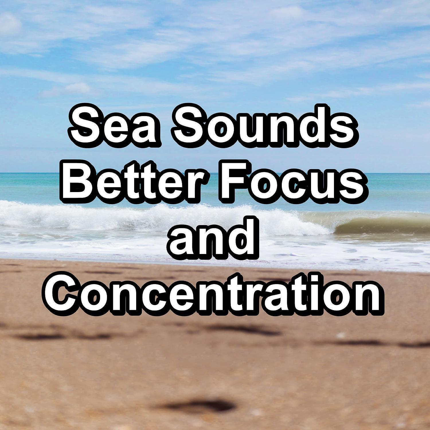 Постер альбома Sea Sounds Better Focus and Concentration