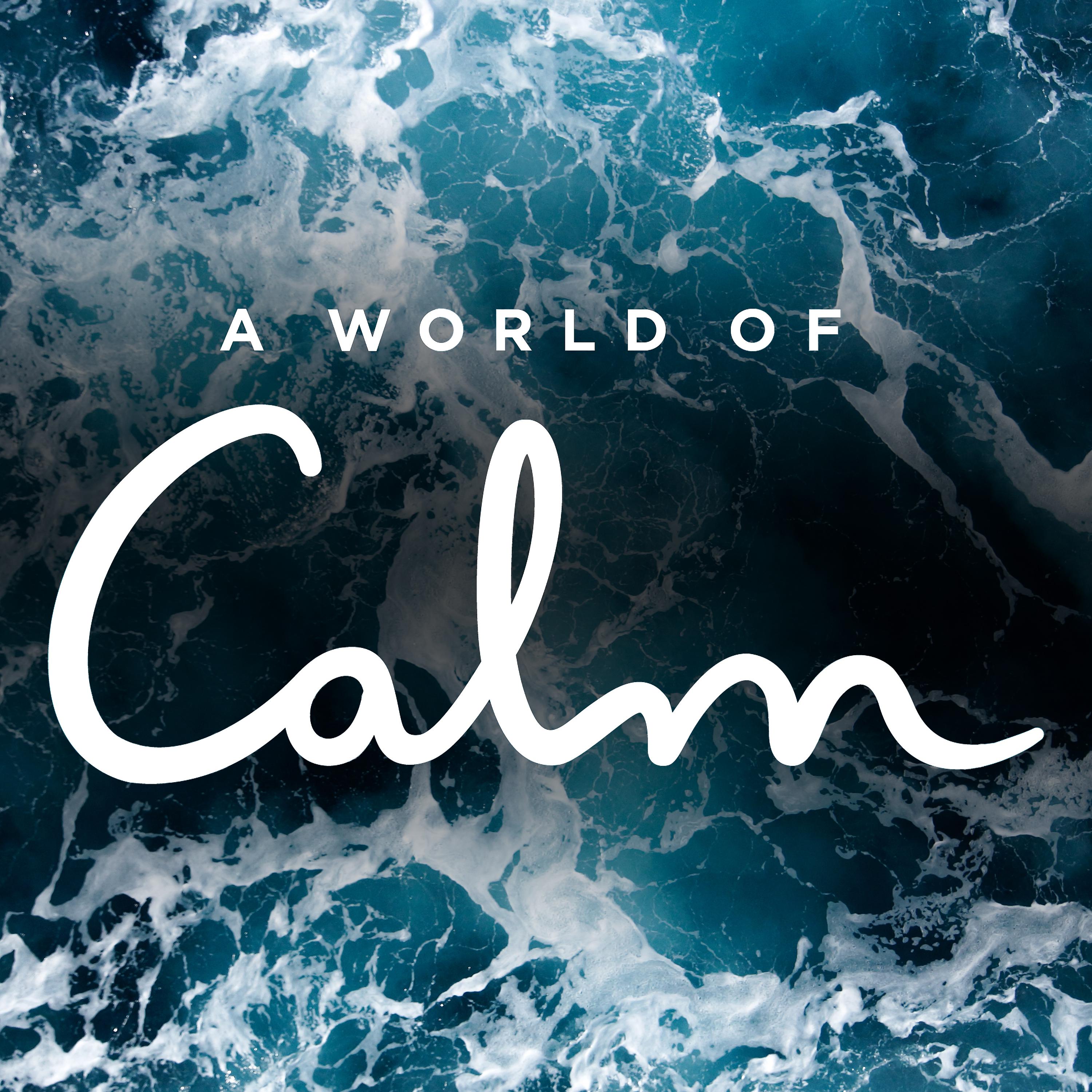 Постер альбома A World of Calm (Music from the Original Tv Series)
