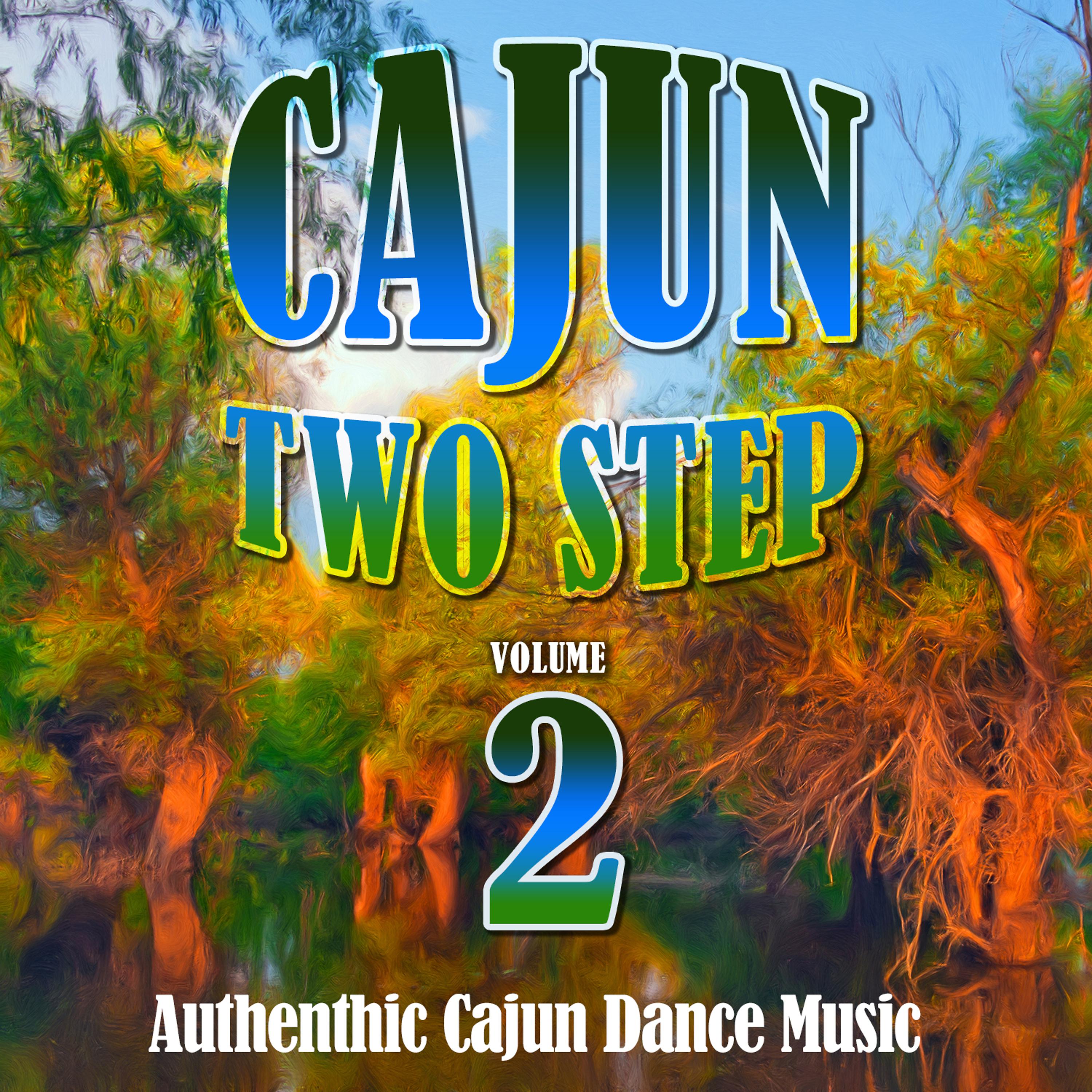 Постер альбома Cajun Two Step Vol. 2