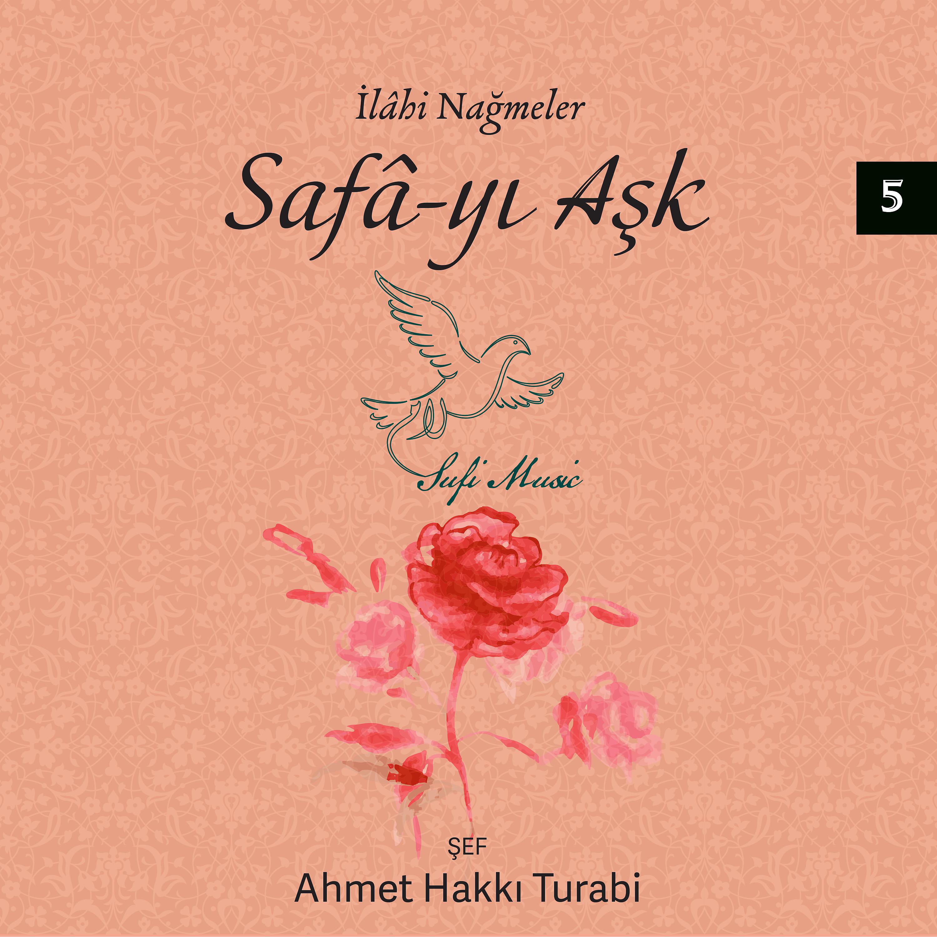Постер альбома İlahi Nağmeler, Safa-yı Aşk, Vol.5