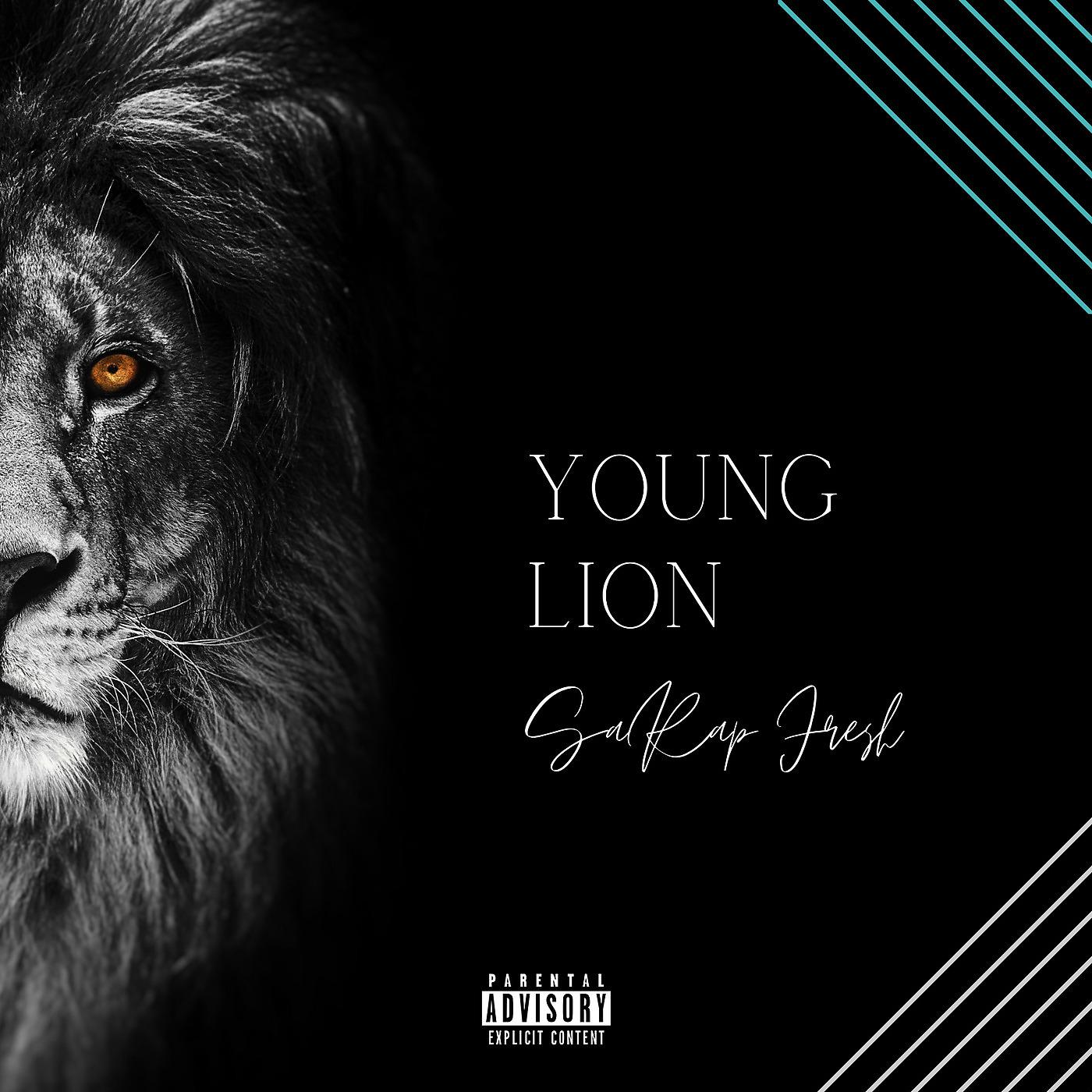 Постер альбома Young Lion