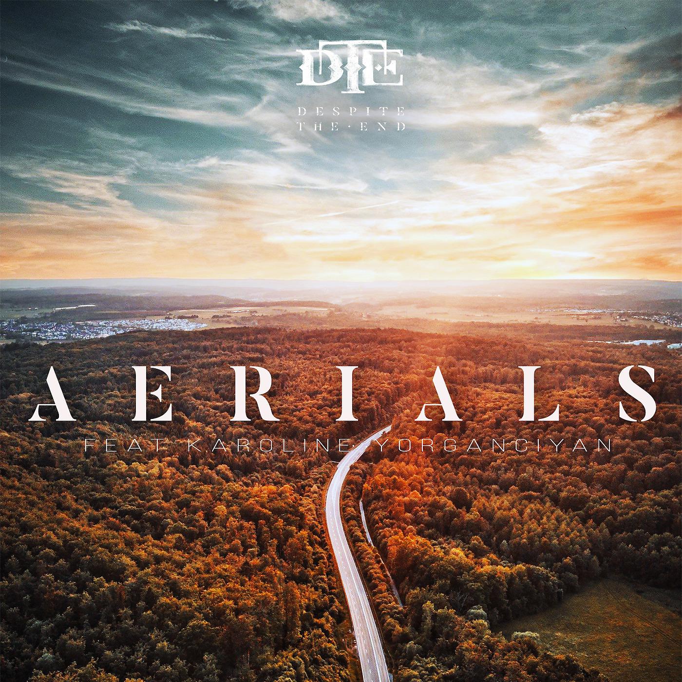 Постер альбома Aerials