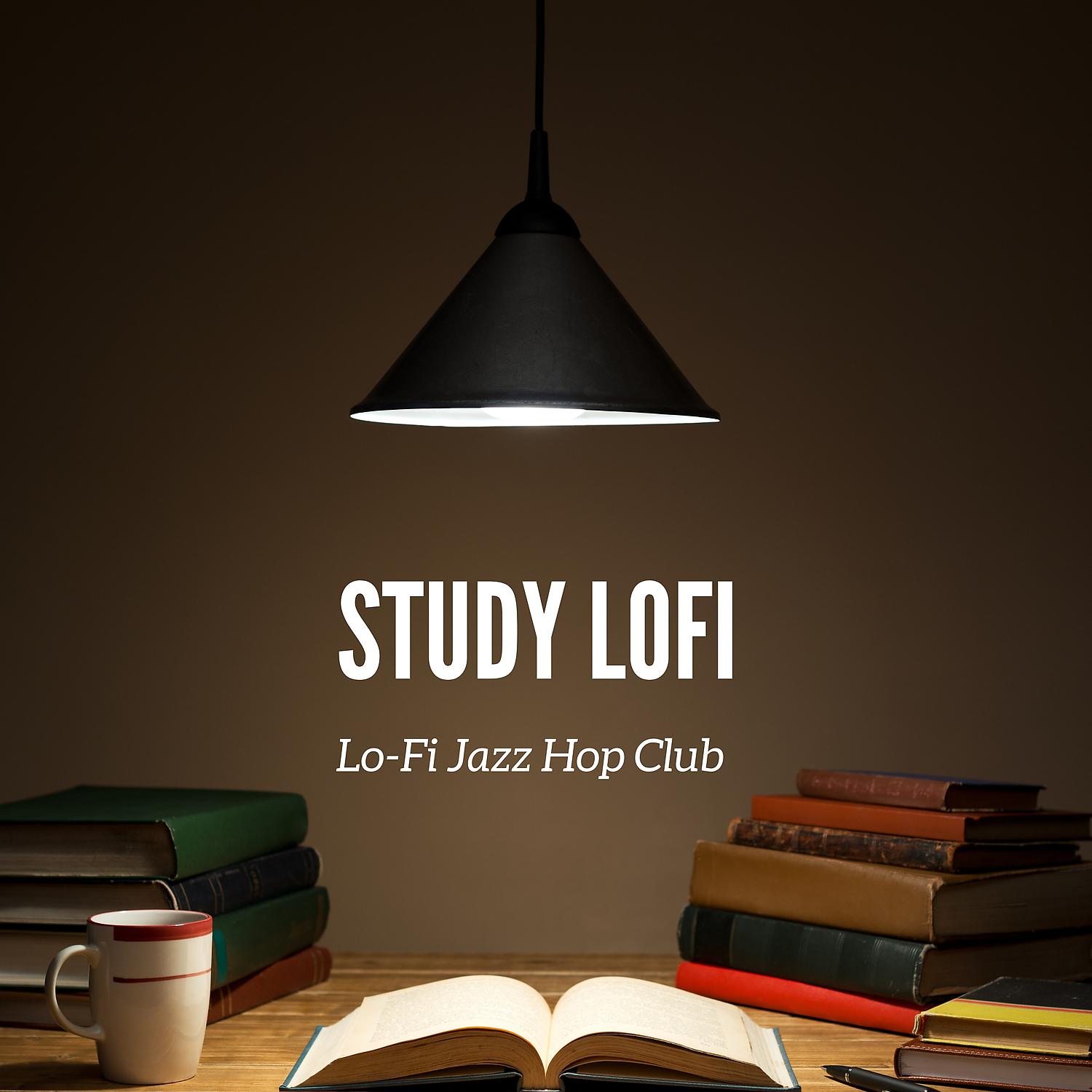 Постер альбома Study LoFi