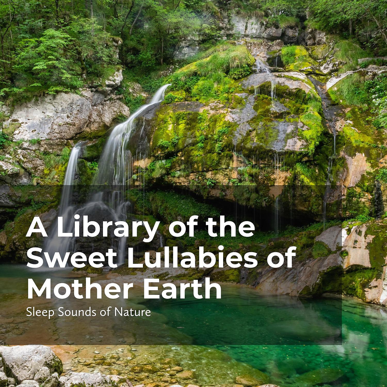Постер альбома A Library of the Sweet Lullabies of Mother Earth