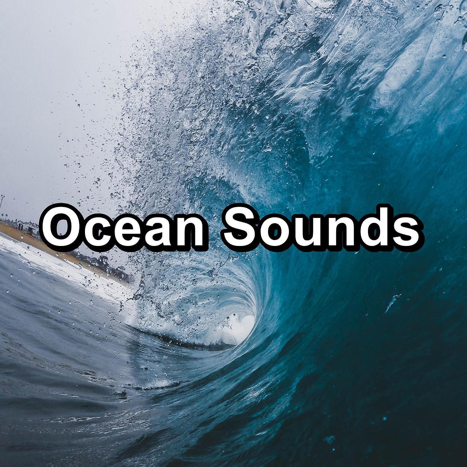 Nature Sounds Radio - Ocean SoundsFor Deep Sleep For Easy Sleep For Babies to Sleep