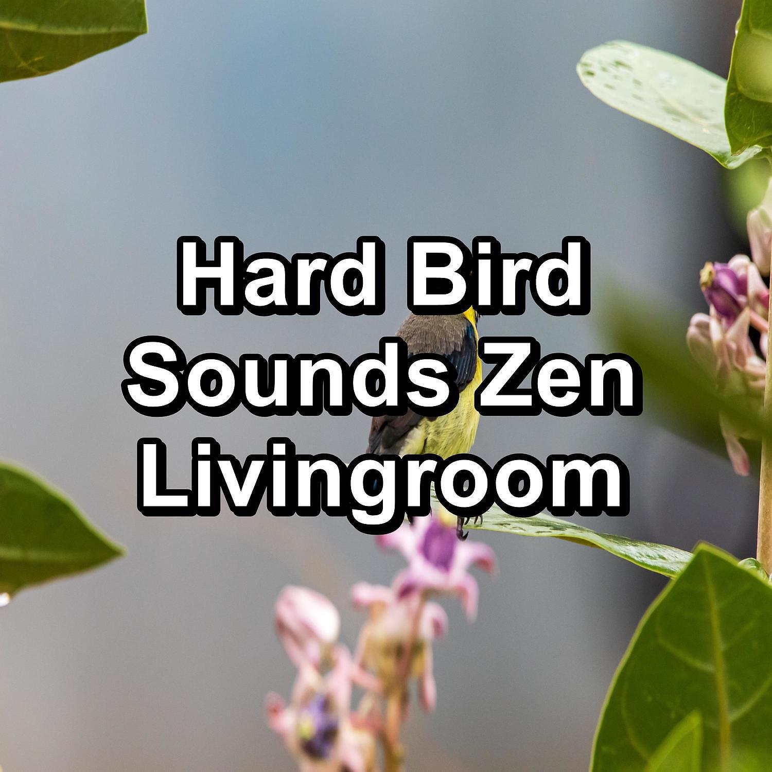 Baby Sleep - Music from Birds For a Cozy Living Room To Loop for 24 Hours