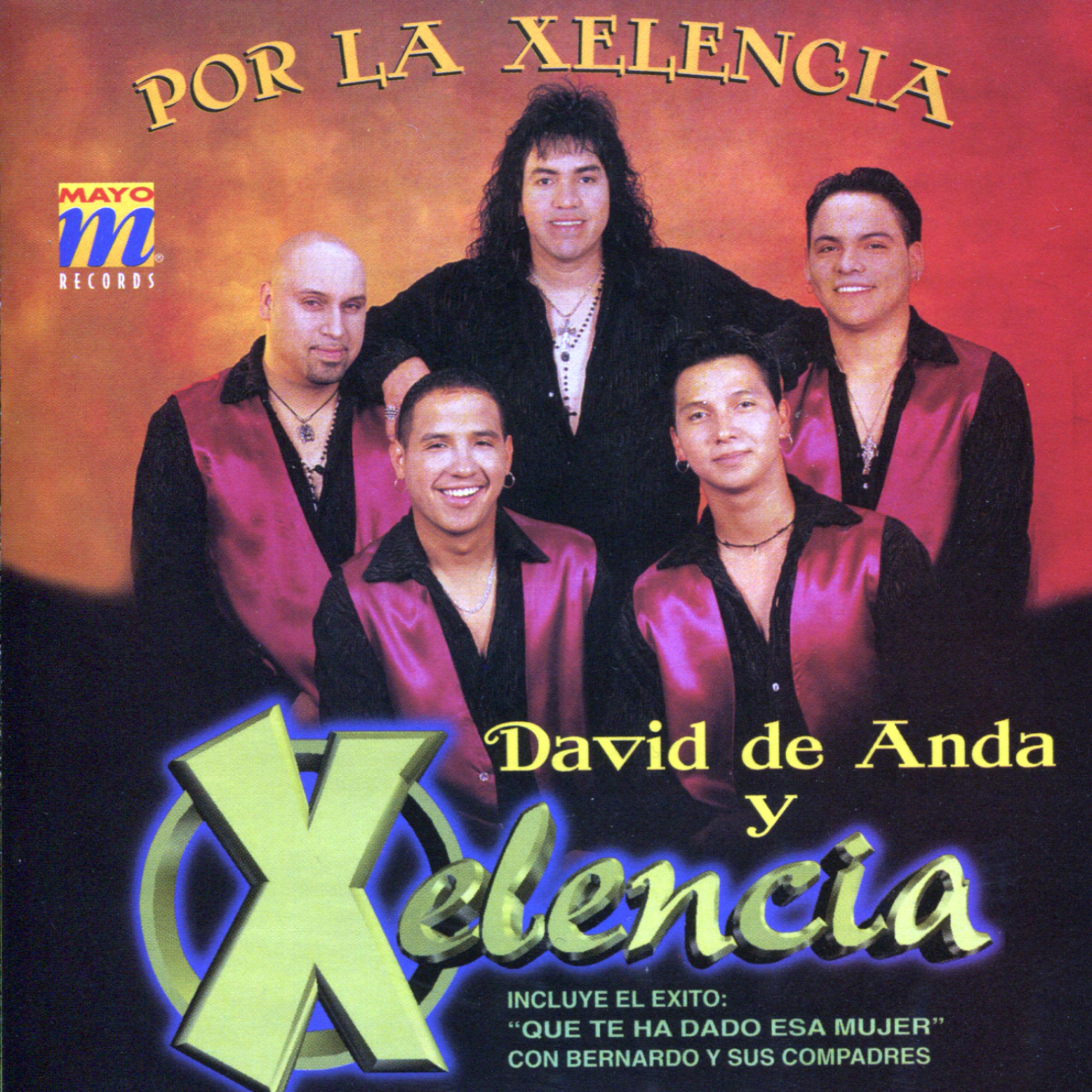Постер альбома Por la Xelencia