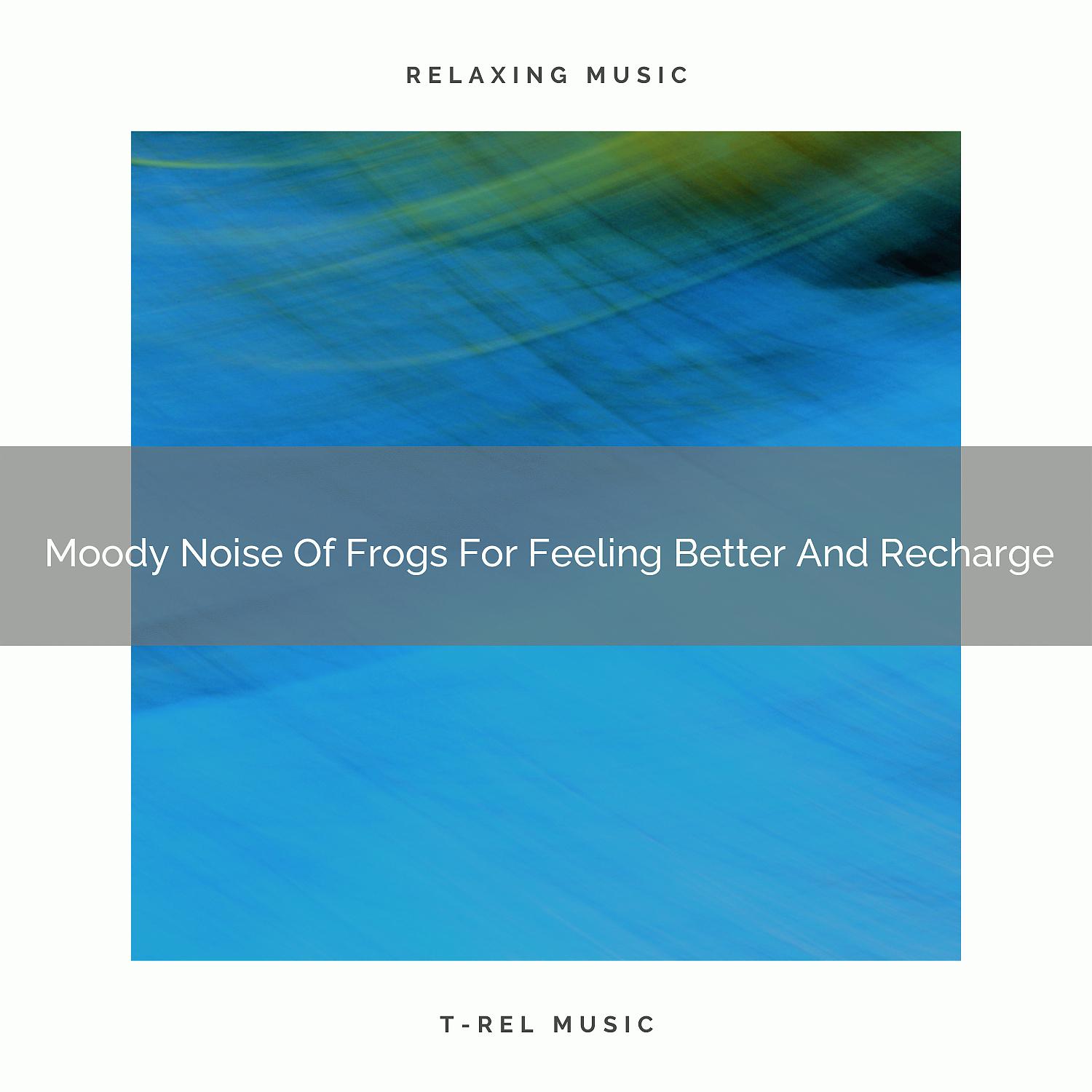 Постер альбома Moody Noise Of Frogs For Feeling Better And Recharge