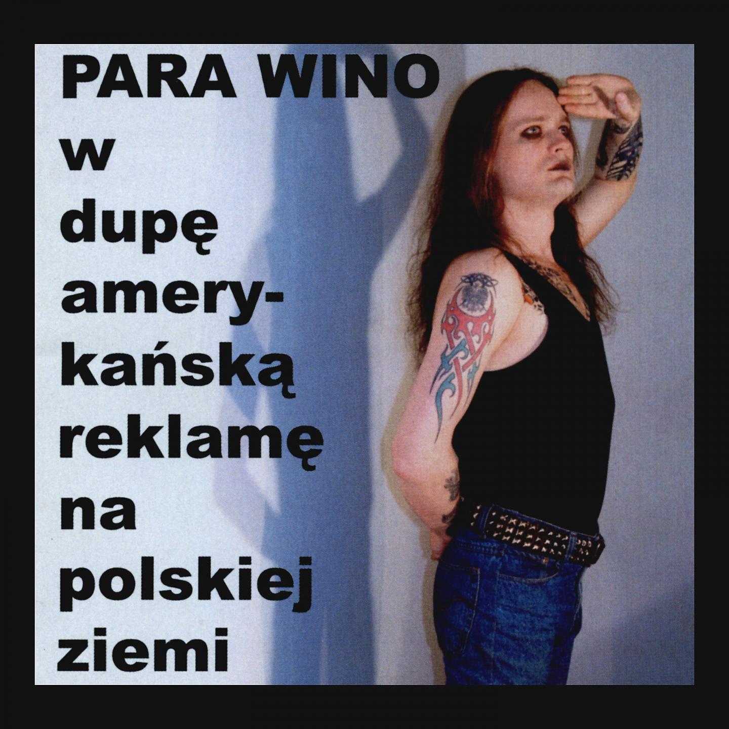 Постер альбома W dupę amerykańską reklamę na polskiej ziemi