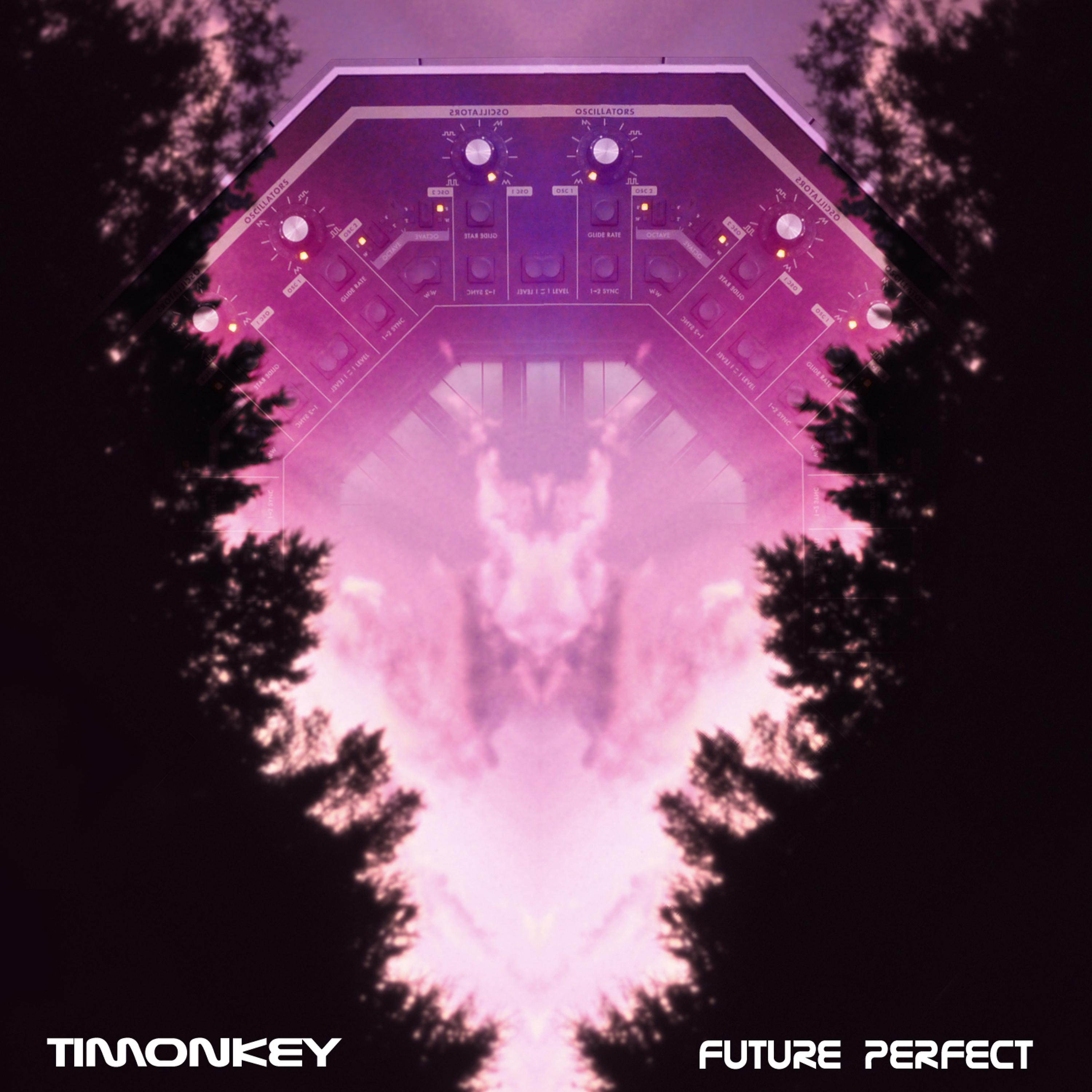 Постер альбома Future Perfect