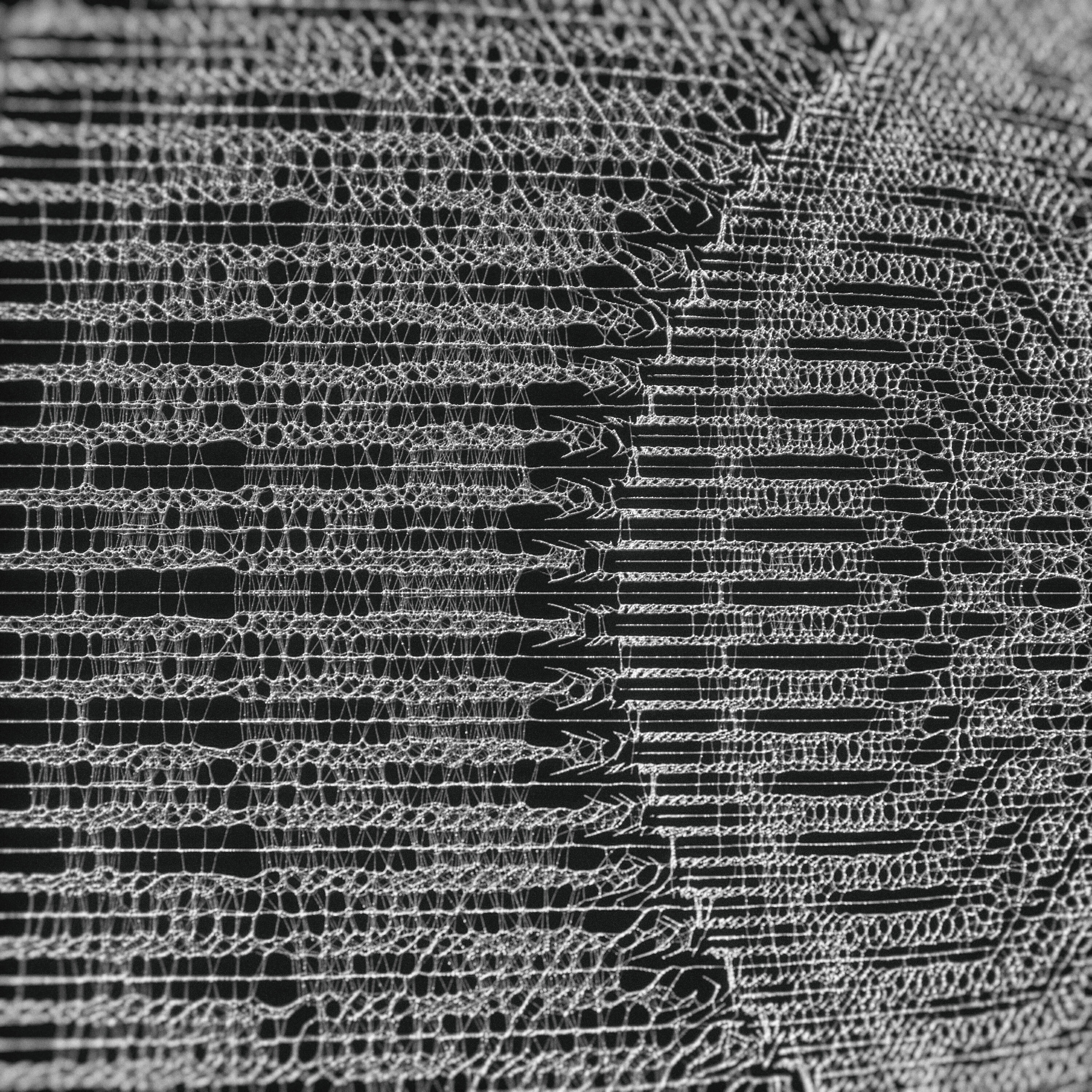 The Kite String Tangle - C()D3X