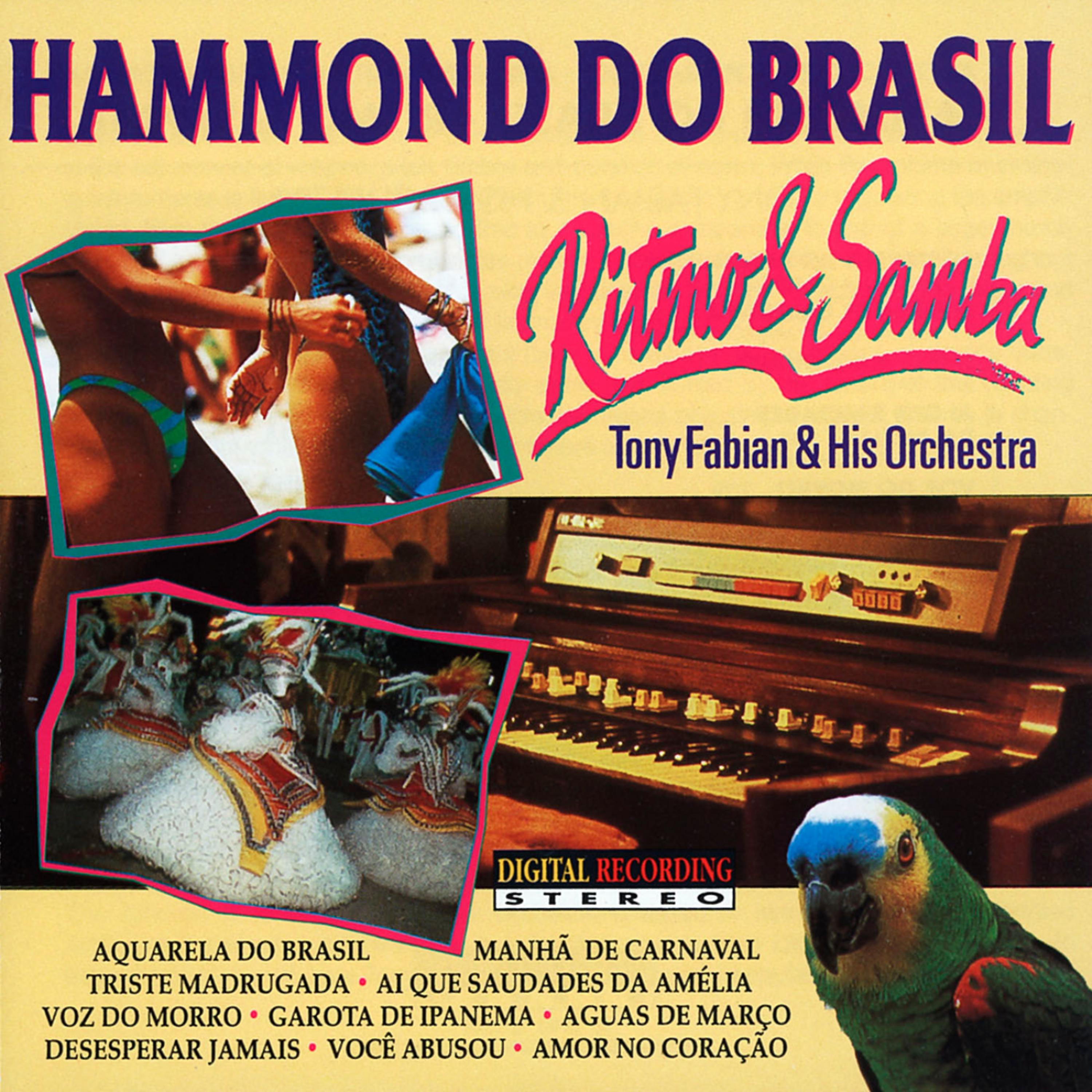 Постер альбома Hammond do Brasil: Ritmo & Samba