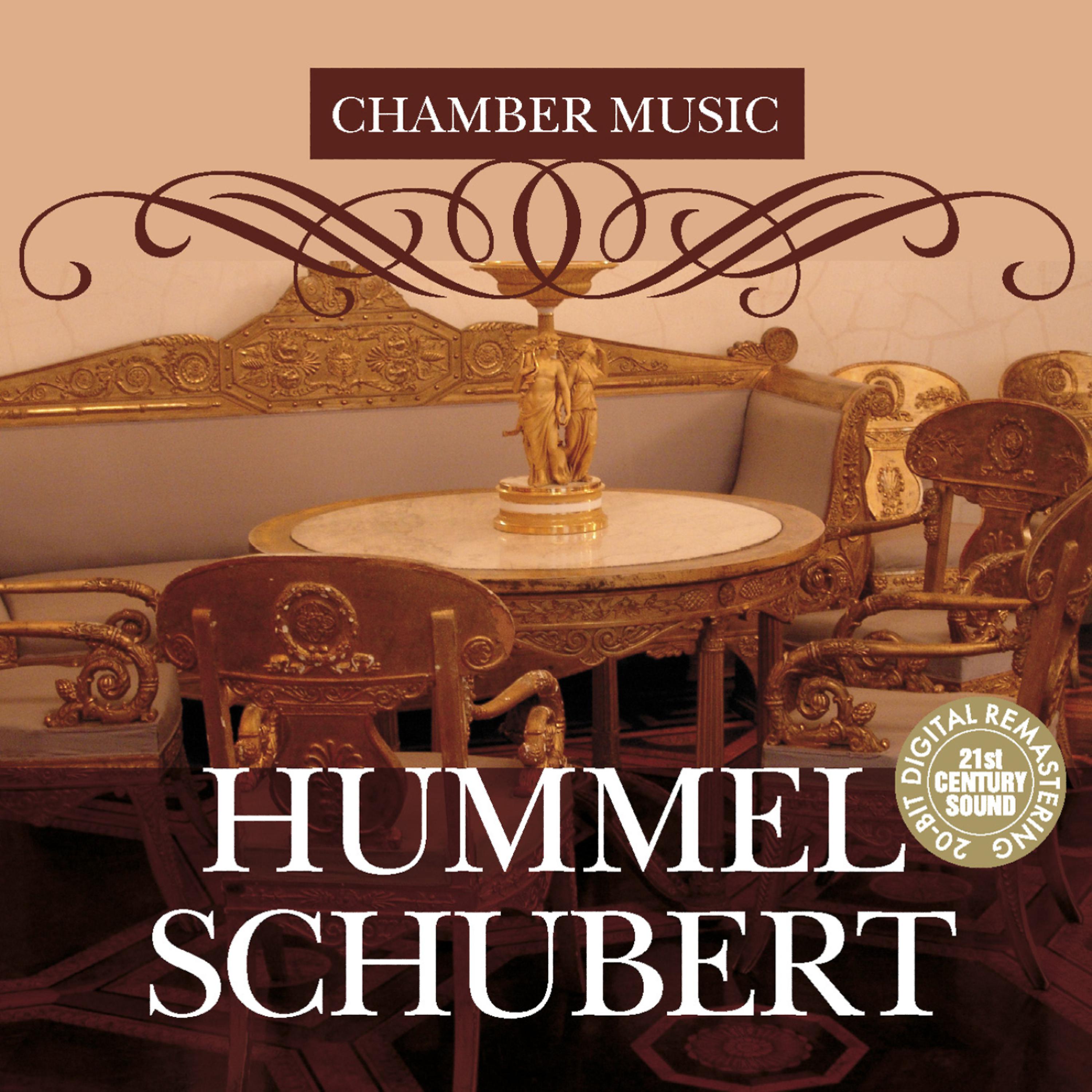 Постер альбома Hummel & Schubert: Chamber Music