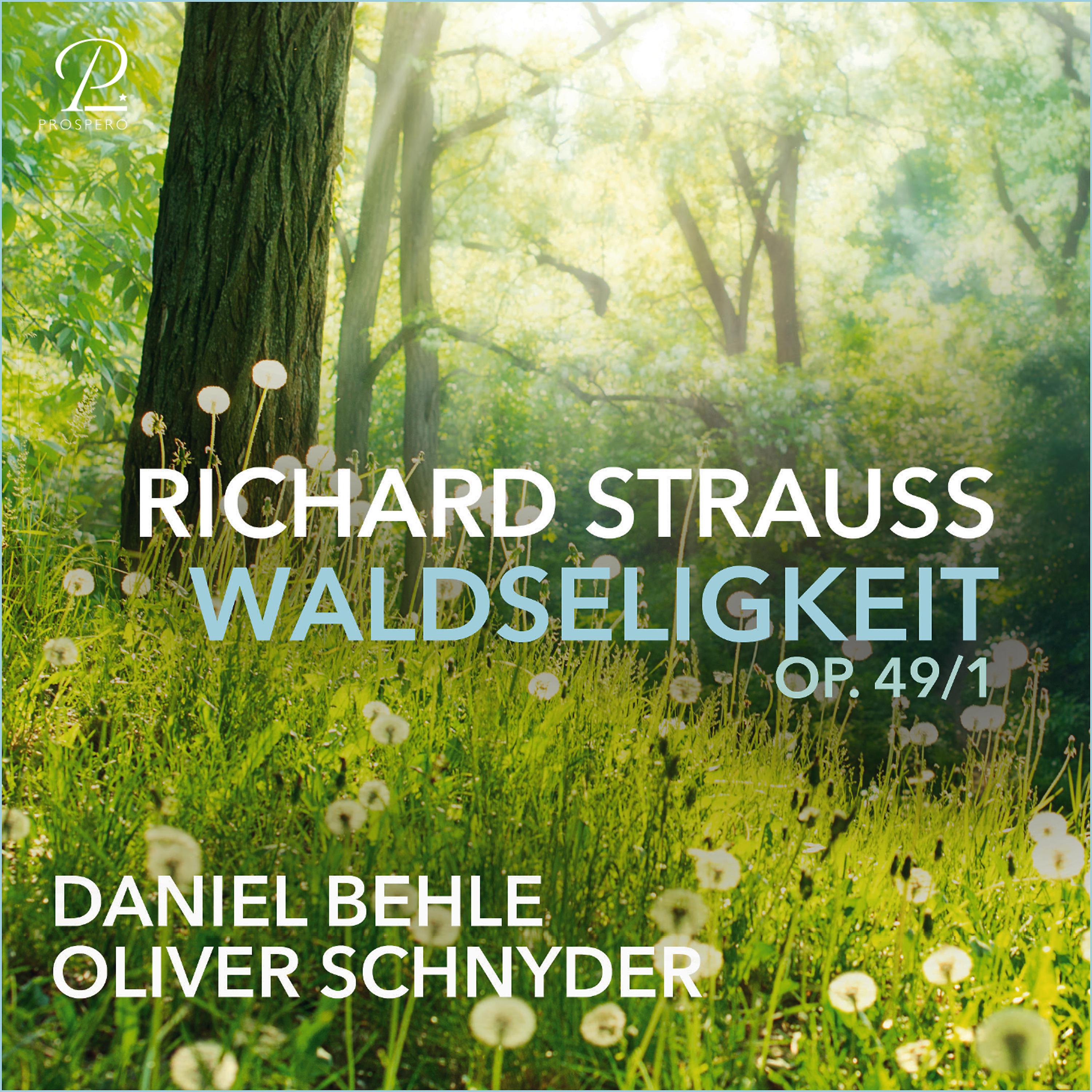 Постер альбома Waldseligkeit, Op. 49, No. 1