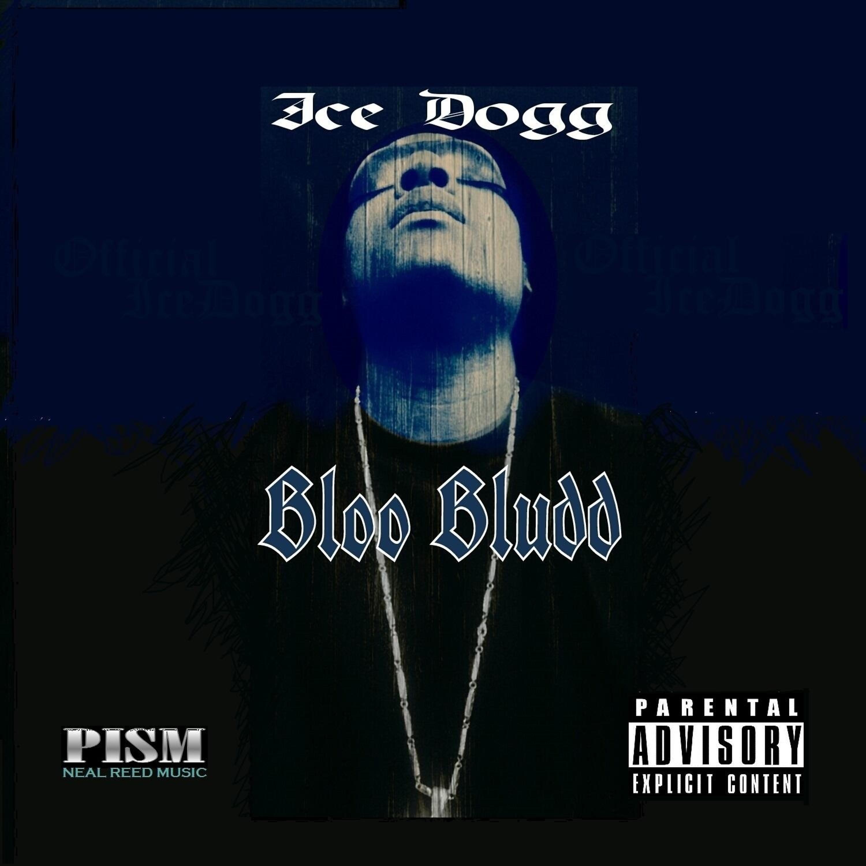 Постер альбома Bloo Bludd