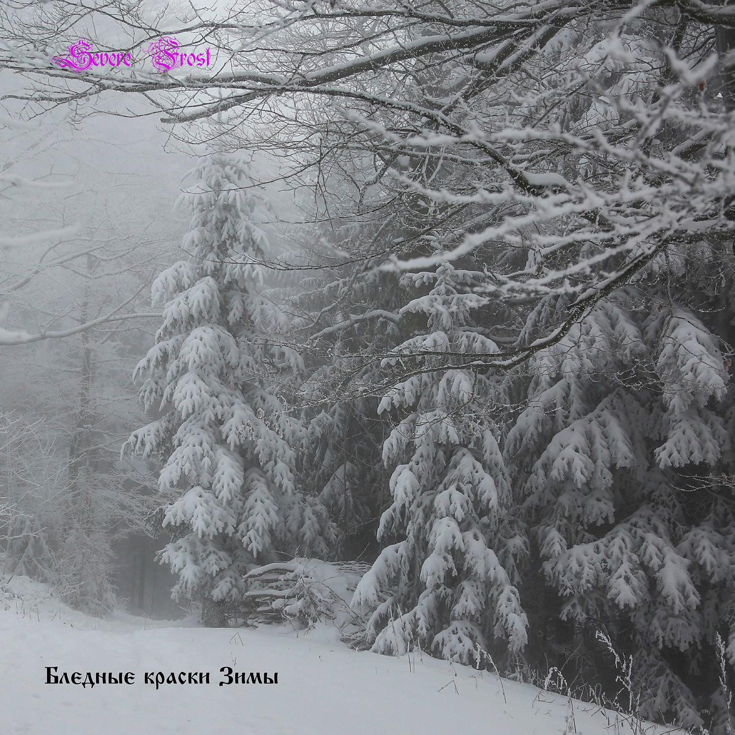 Постер альбома Бледные краски Зимы