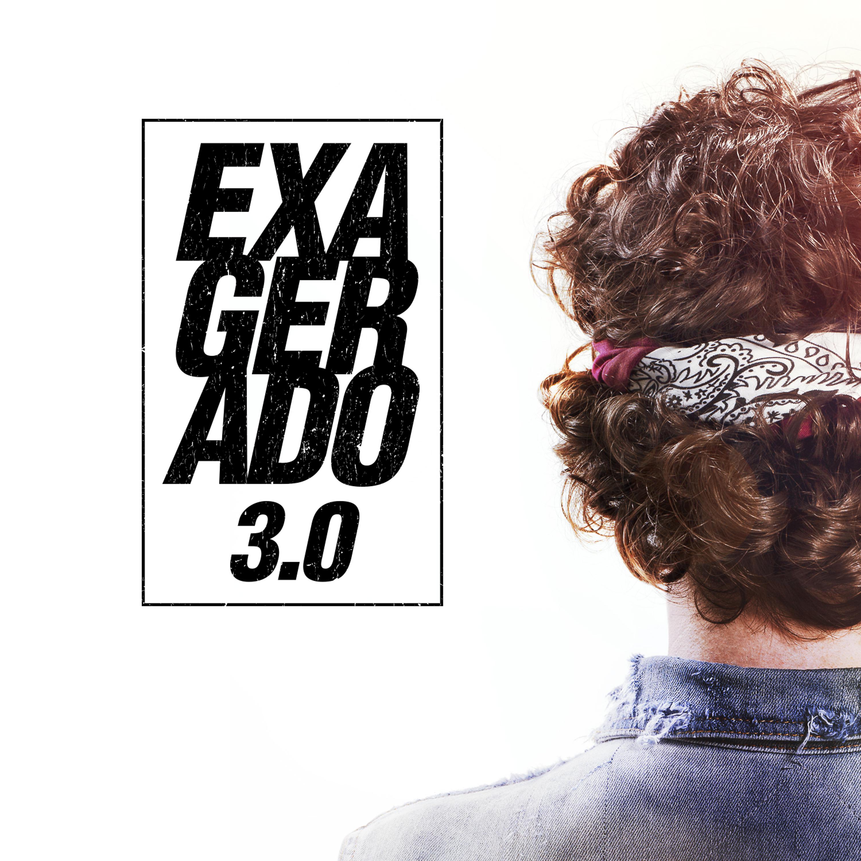 Постер альбома Exagerado 3.0 - Single