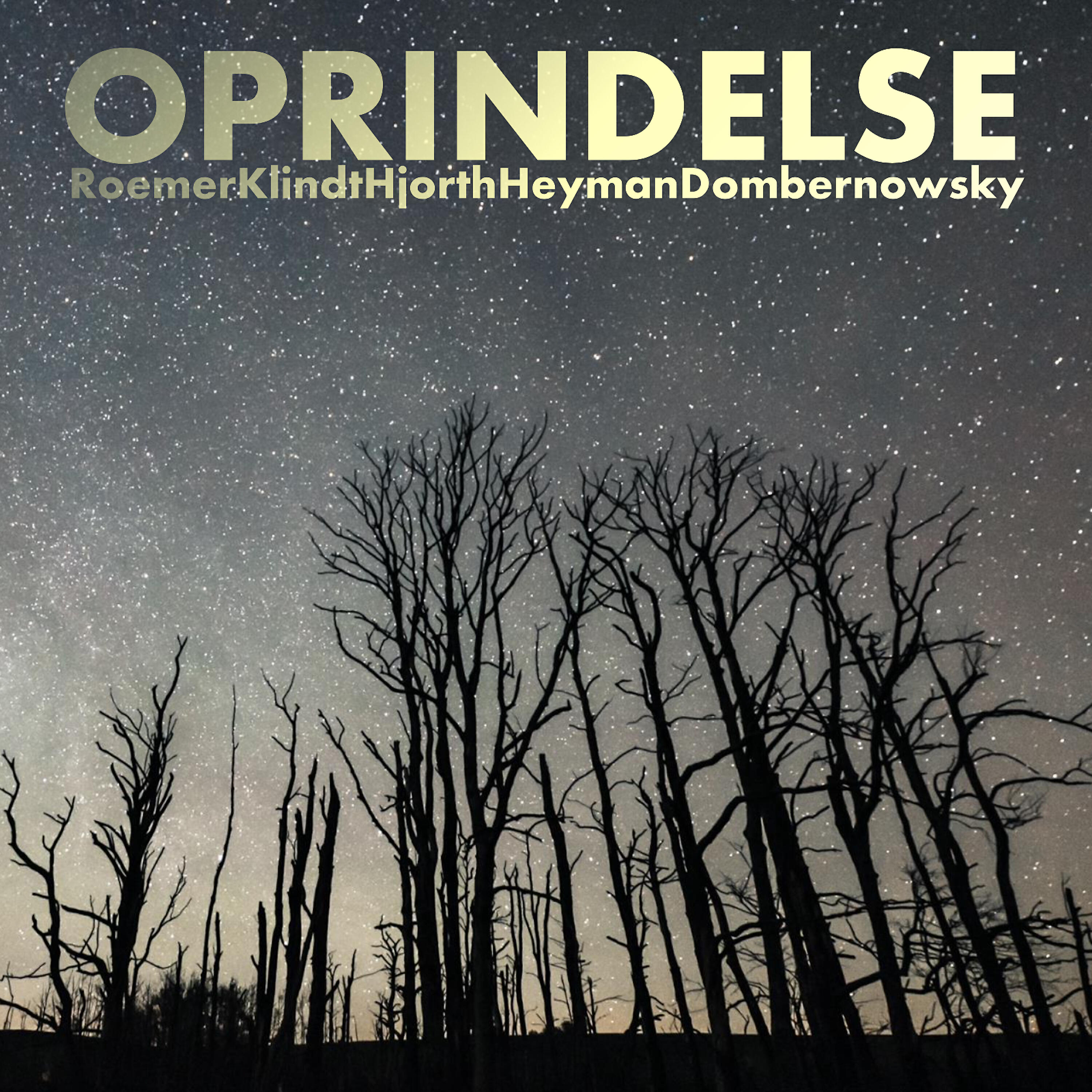 RoemerKlindtHjorthHeymanDombernowsky - Horisont
