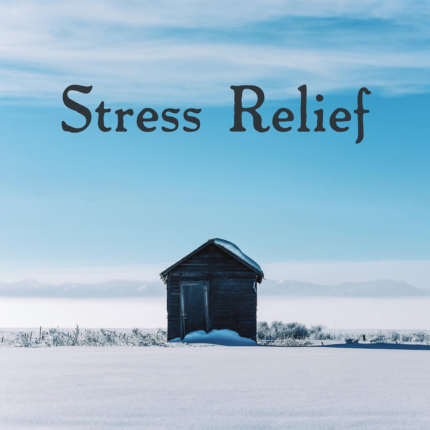 Постер альбома Stress Relief