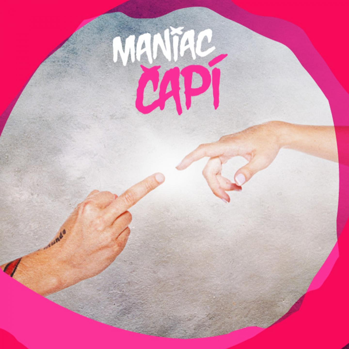 Постер альбома Čapí