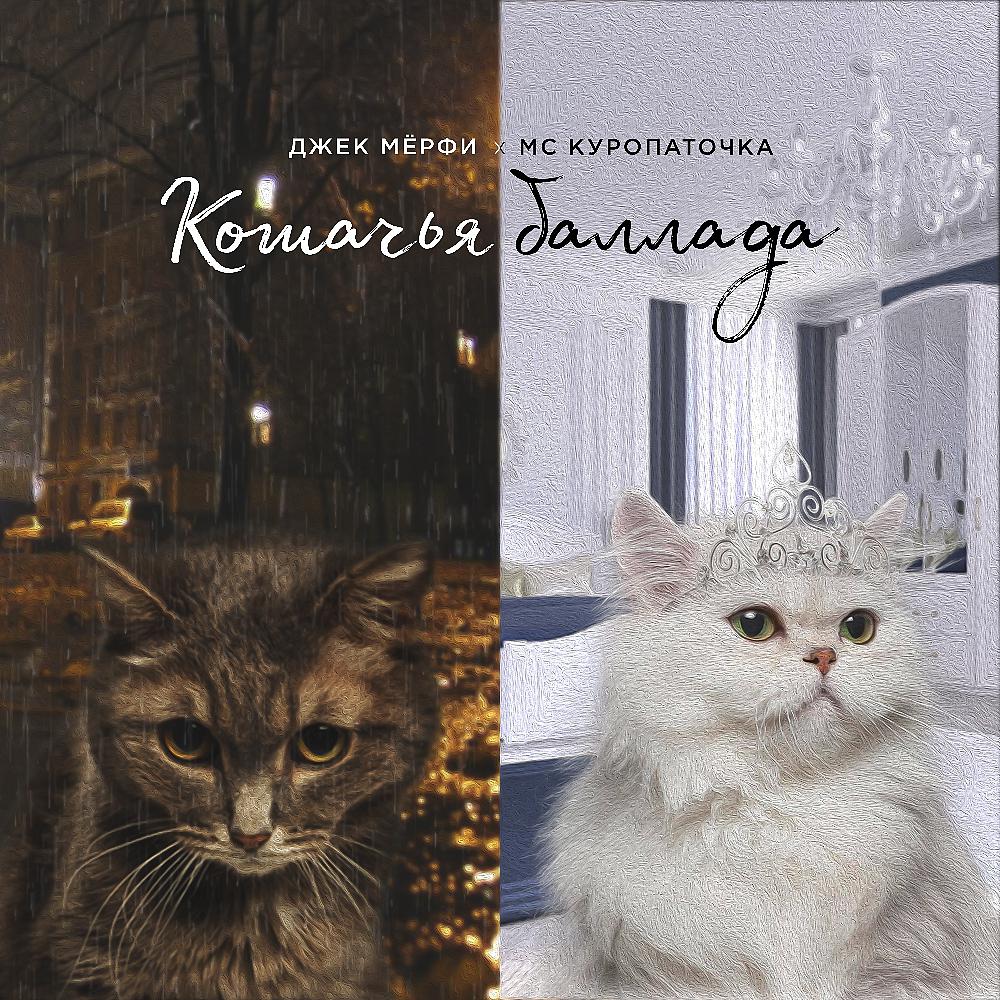Постер альбома Кошачья баллада