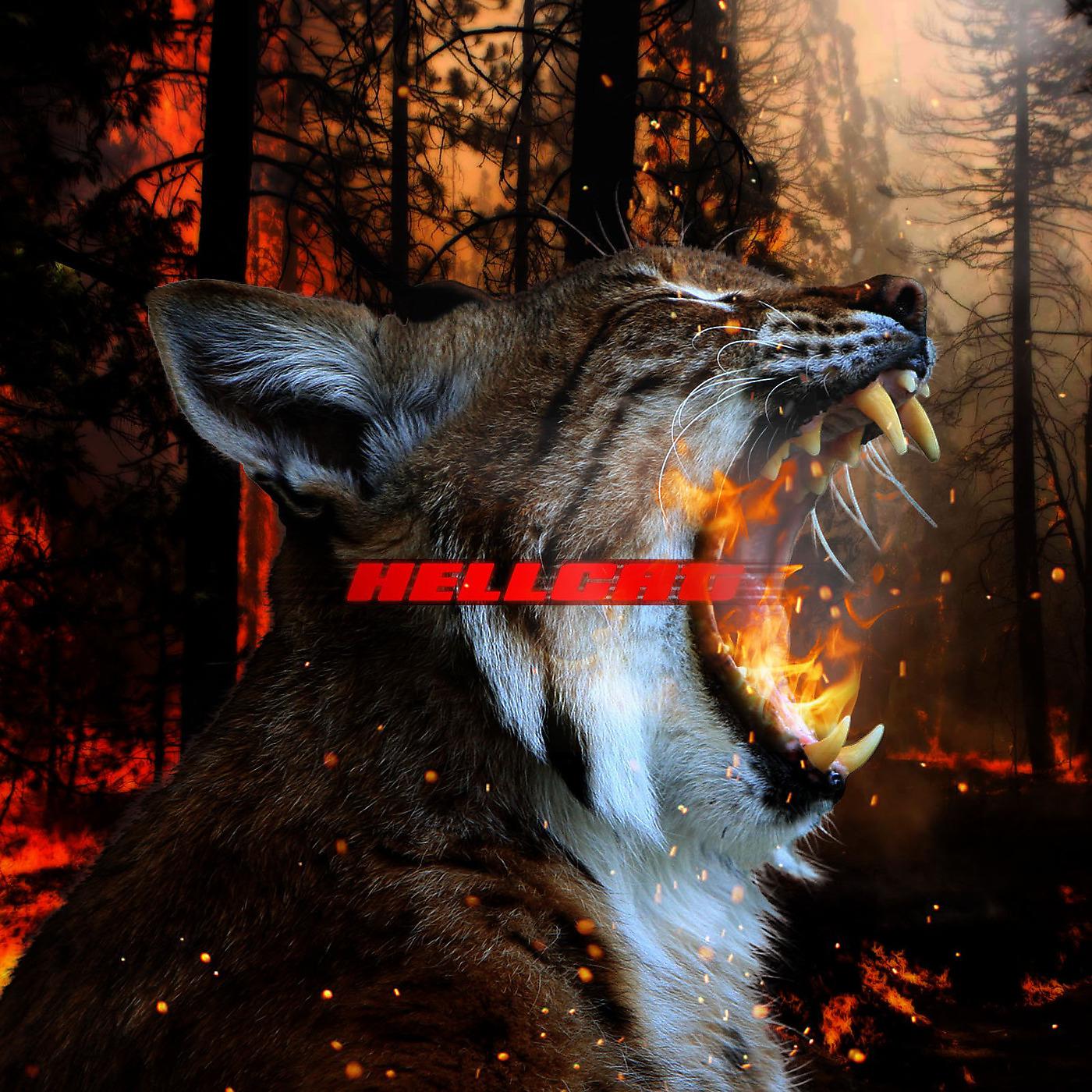 Постер альбома Hellcat