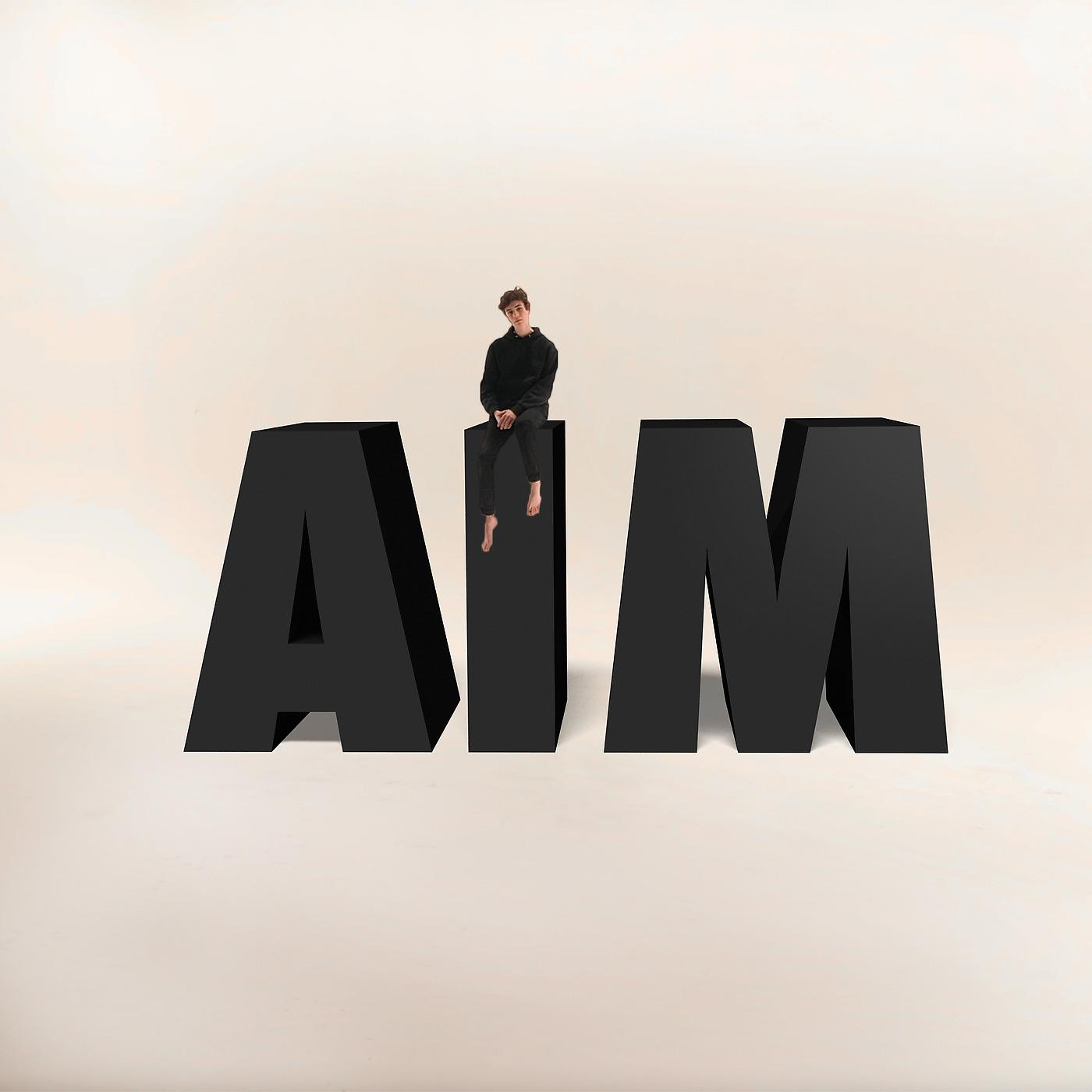 Постер альбома AIM