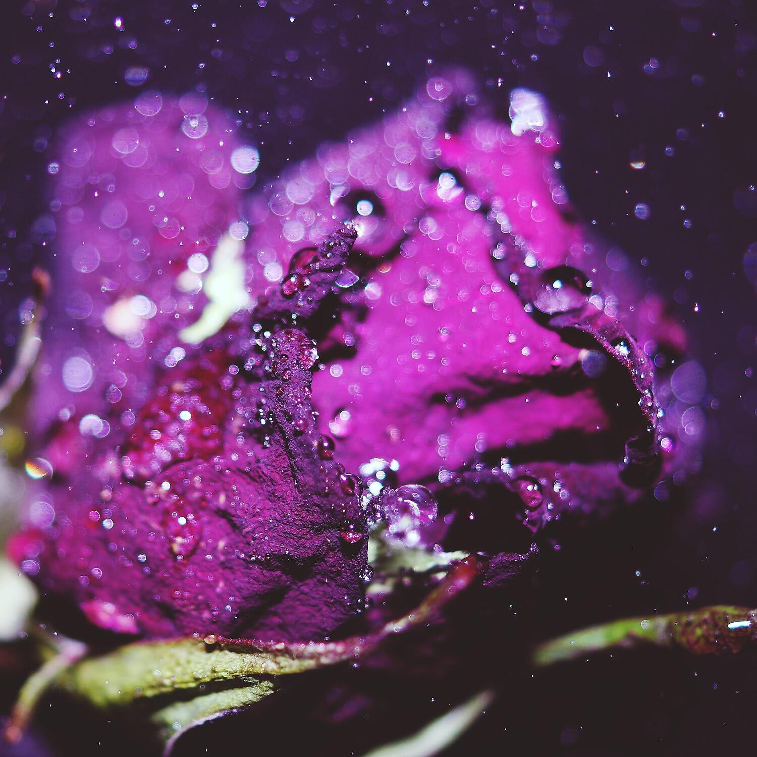 Concentration Rain Sounds - Rain Storm Feeling