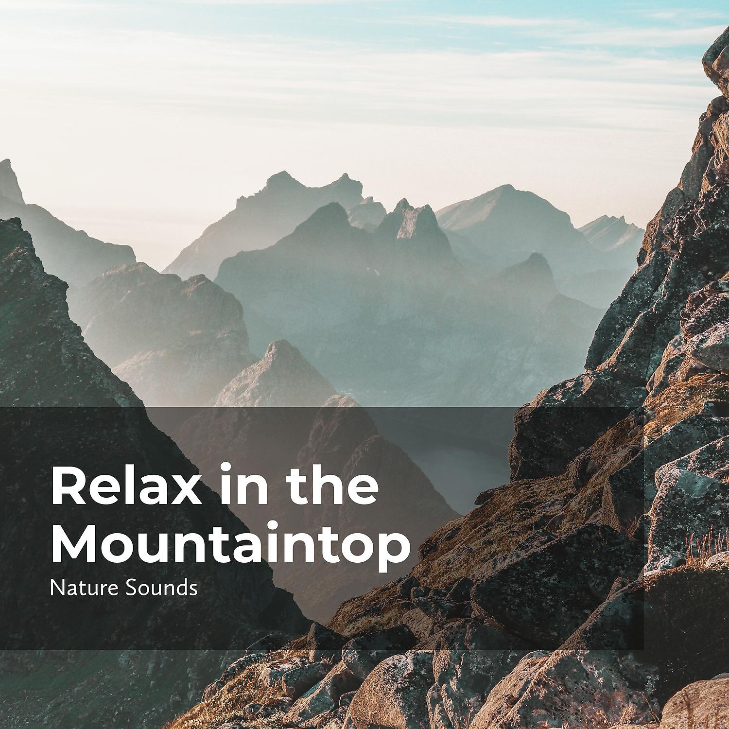 Постер альбома Relax in the Mountaintop
