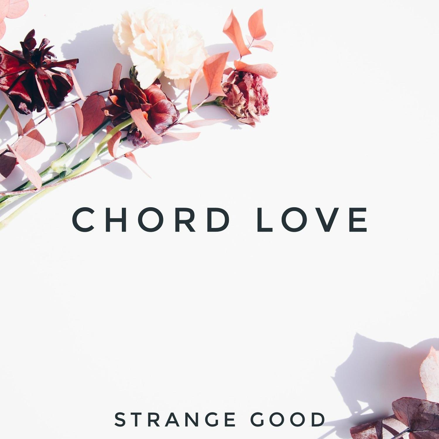 Постер альбома Chord Love