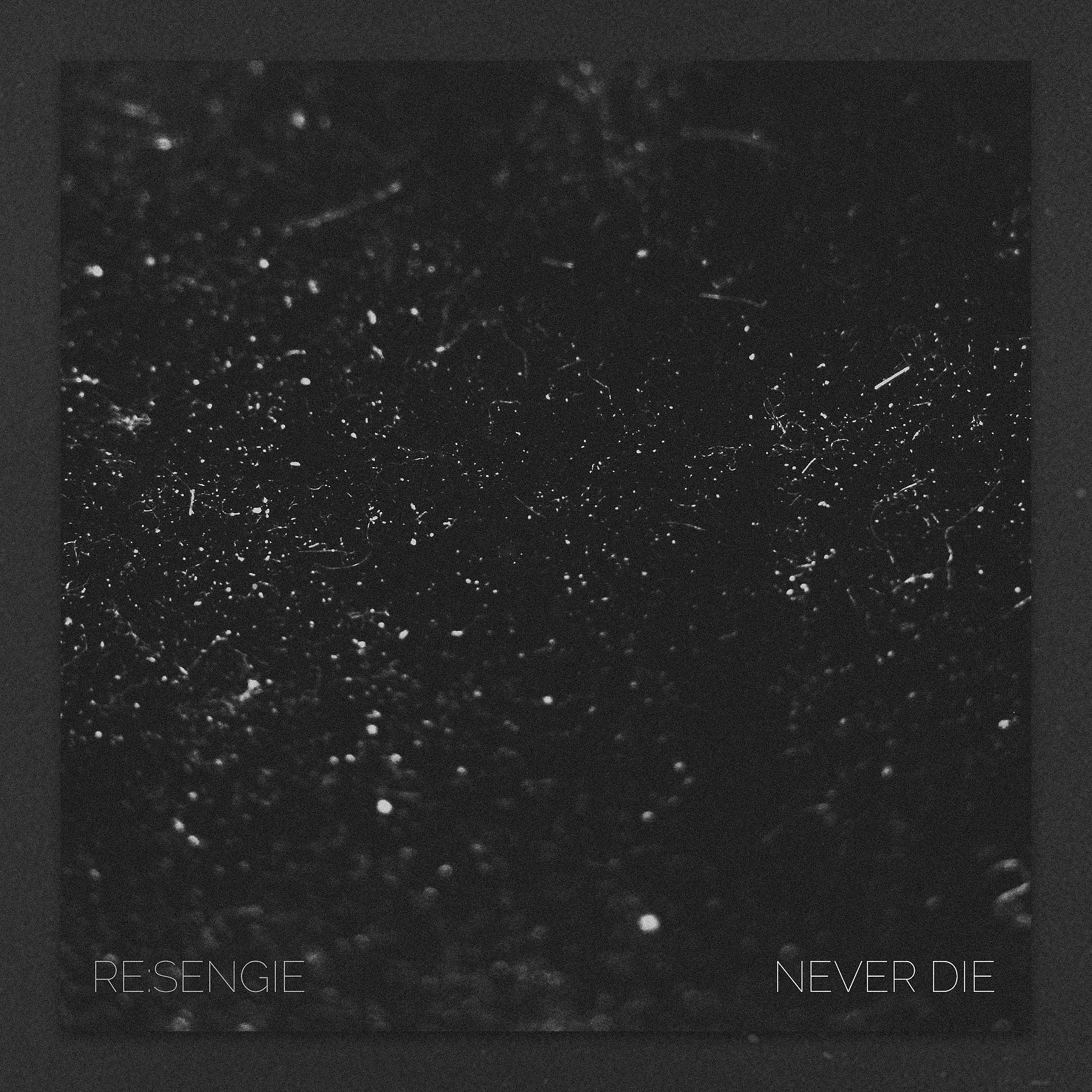 Постер альбома Never Die