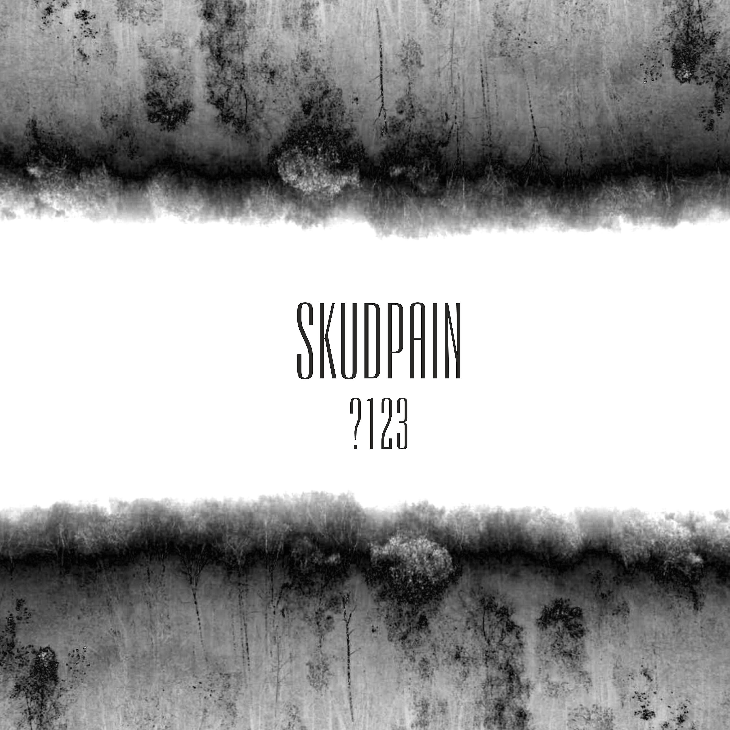 skudpain - Слепого зрячий не увидит