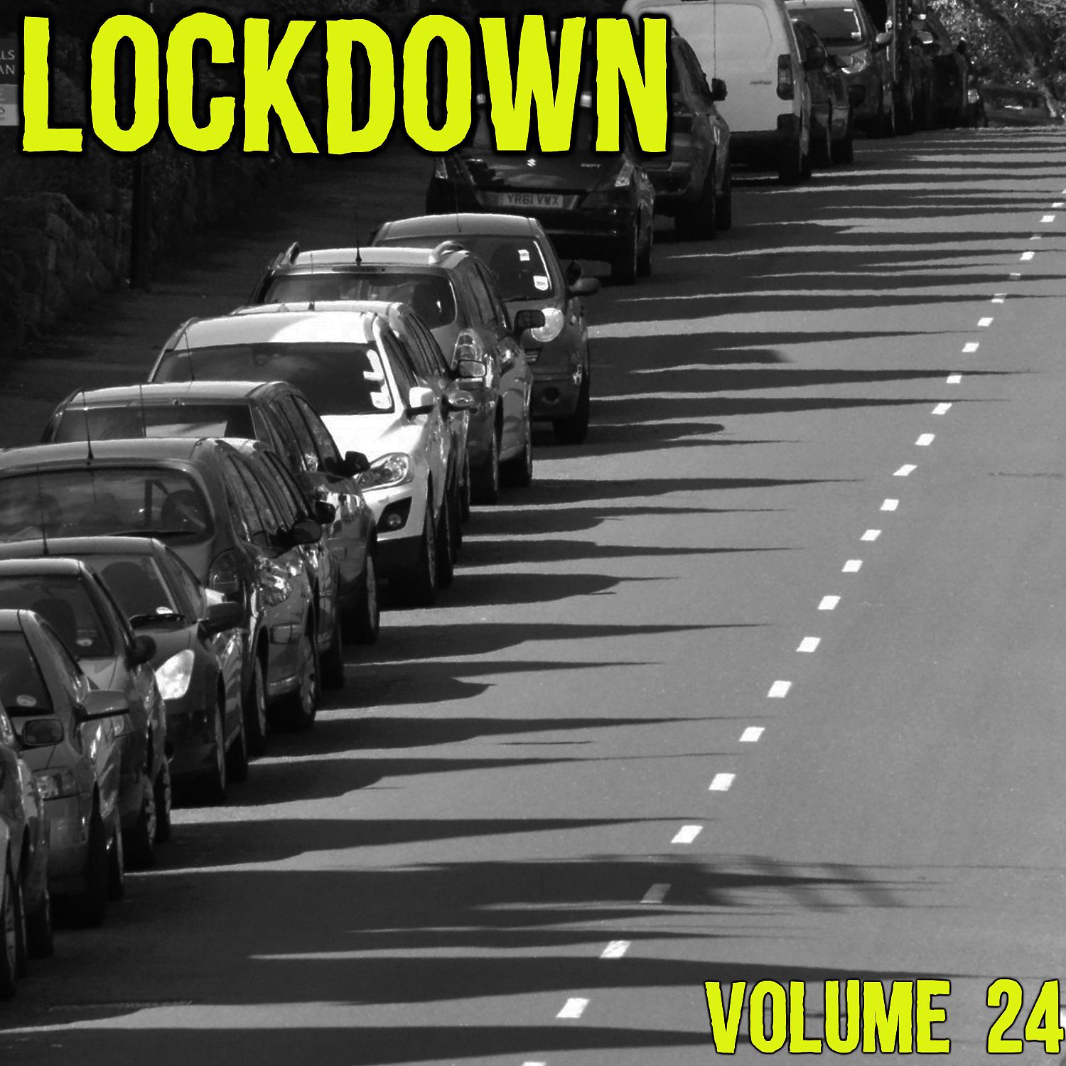 Постер альбома Lock Down Vol. 24
