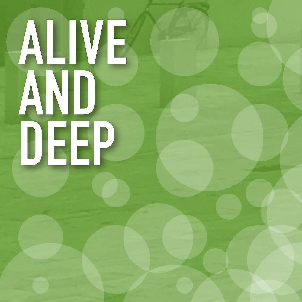 Microgroove - Quality Entertainment (Sexy & Deep Mix)