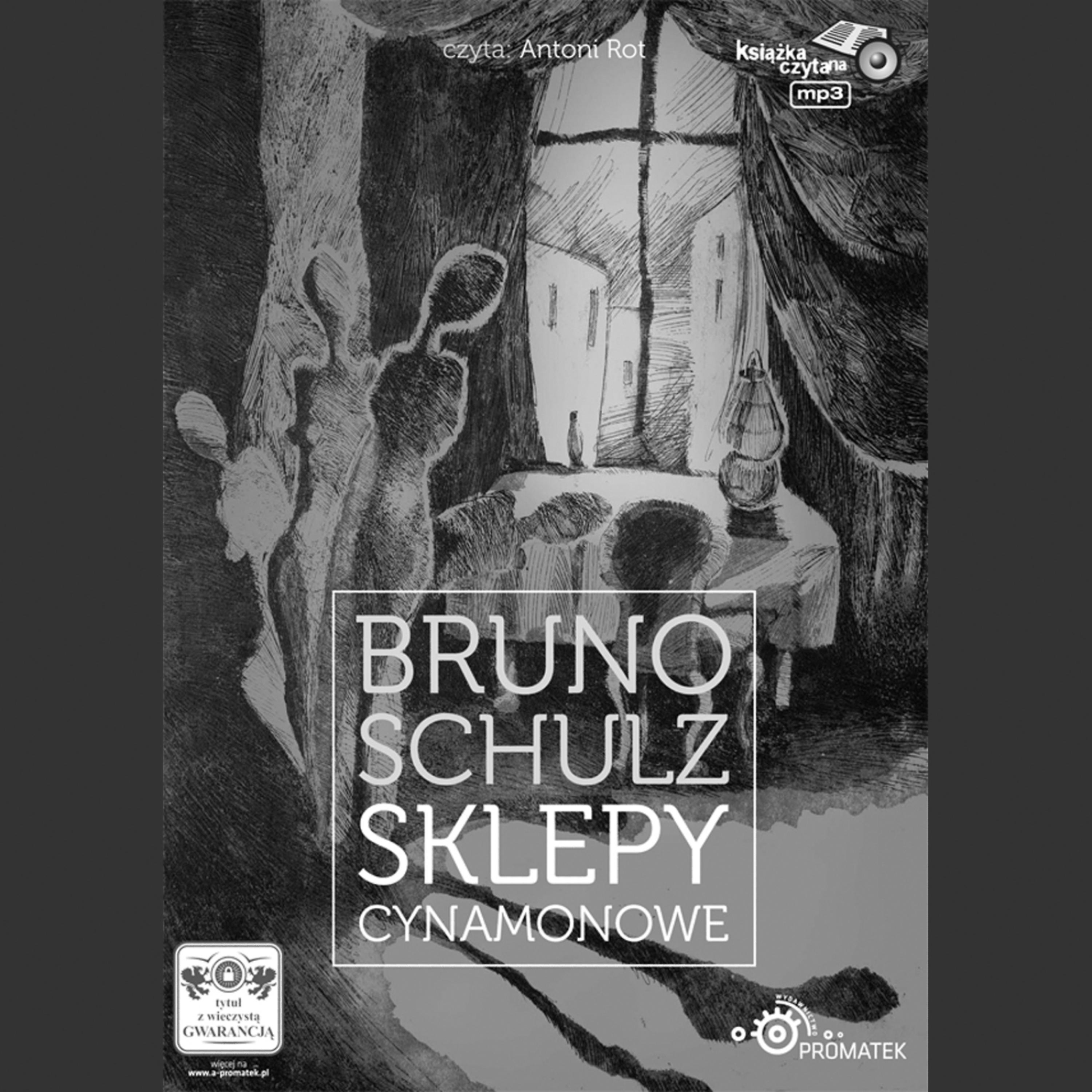 Постер альбома Bruno Schulz: Sklepy cynamonowe